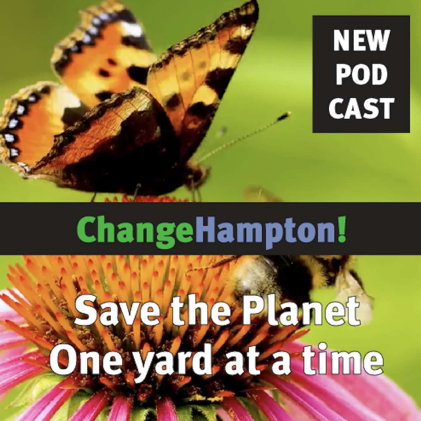 ChangeHampton Presents:  Save the Planet, One Yard at a Time