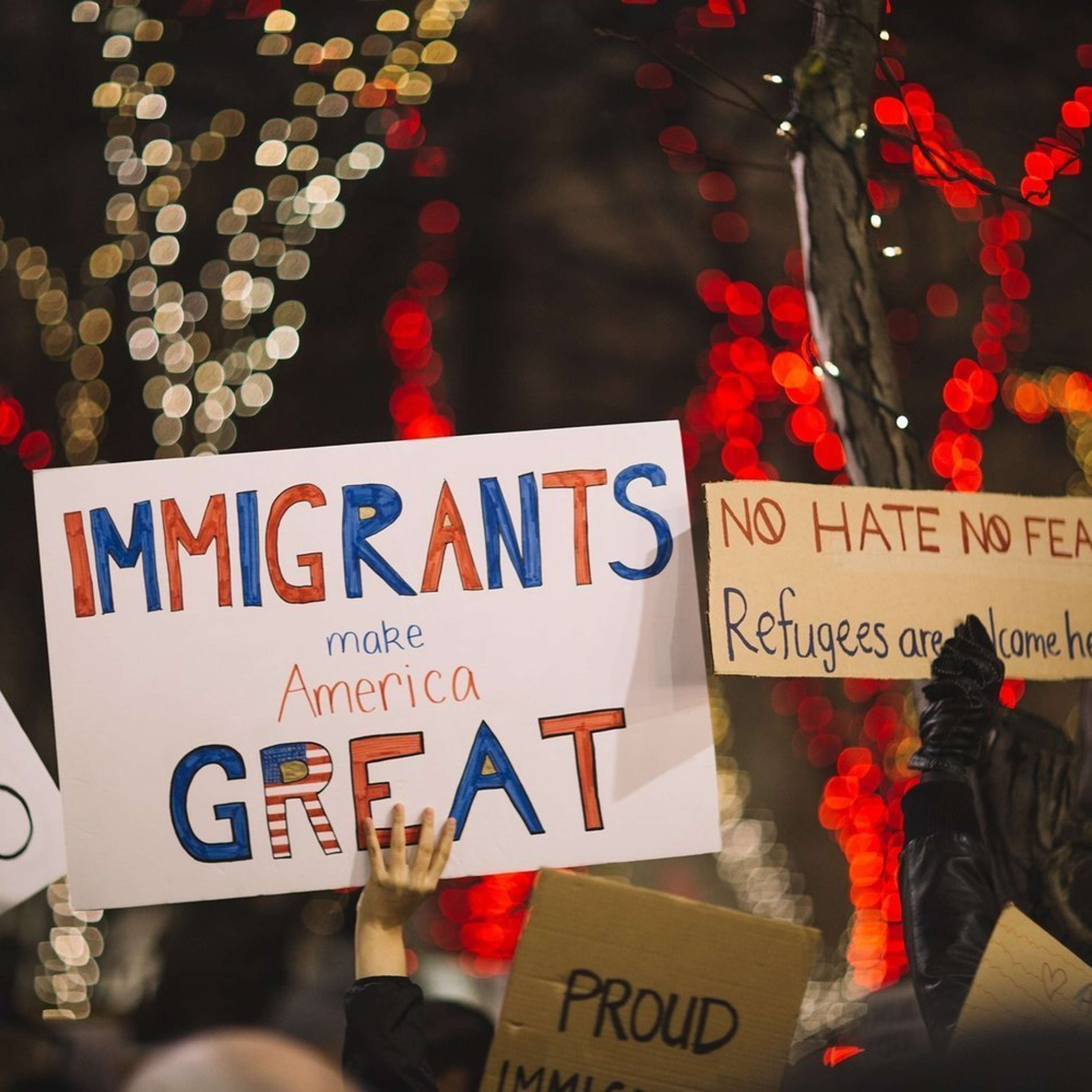An Introduction to Immigration