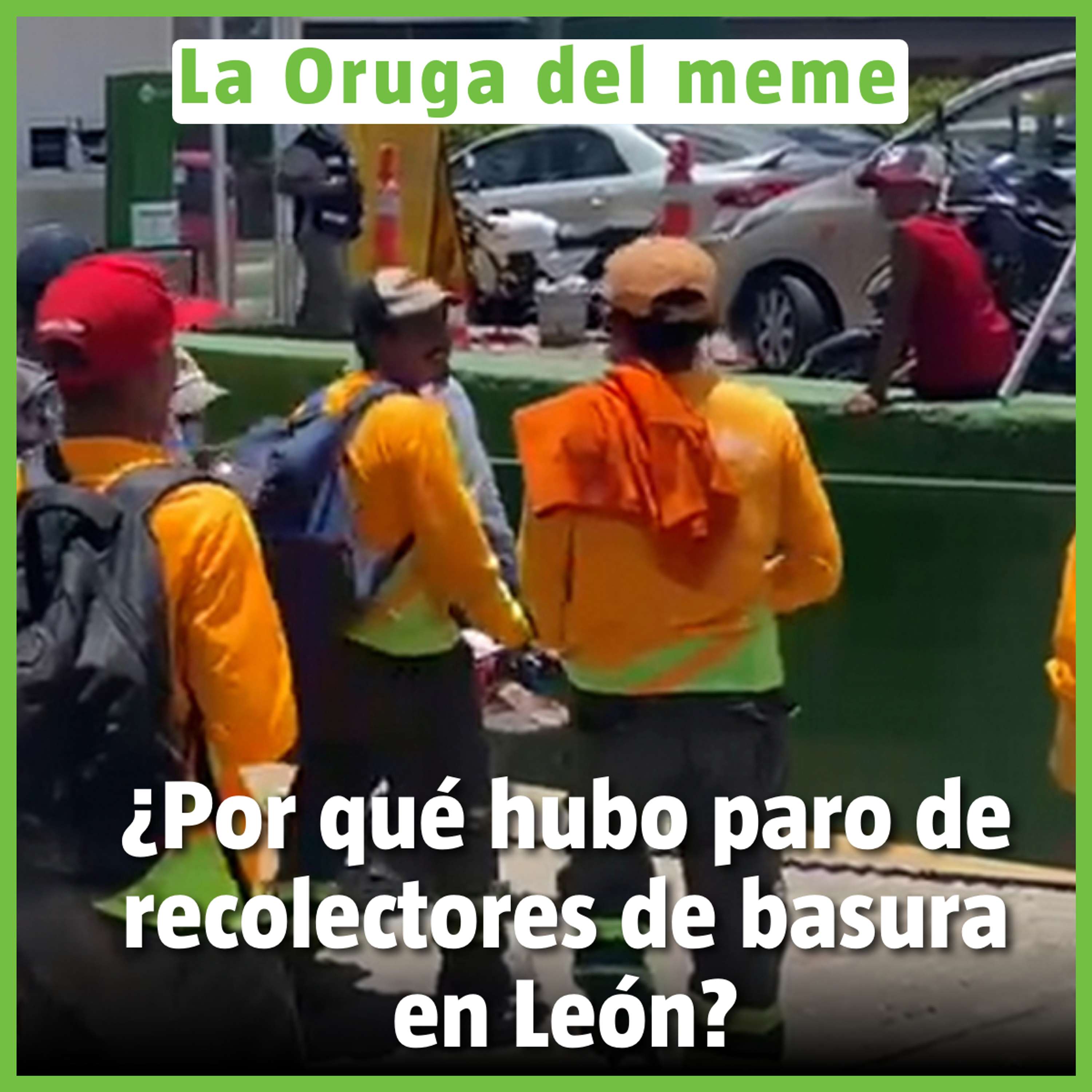 La Oruga del Meme