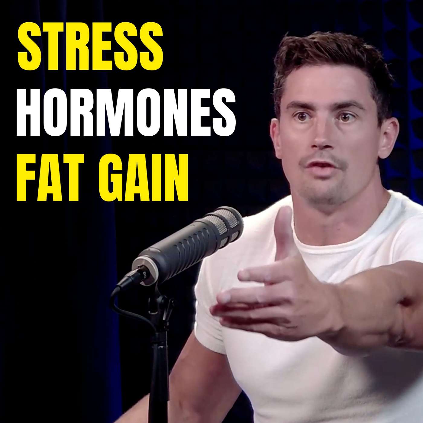 How Stress is Making You Fat and Unhealthy How Stress is Making You Fat and Unhealthy