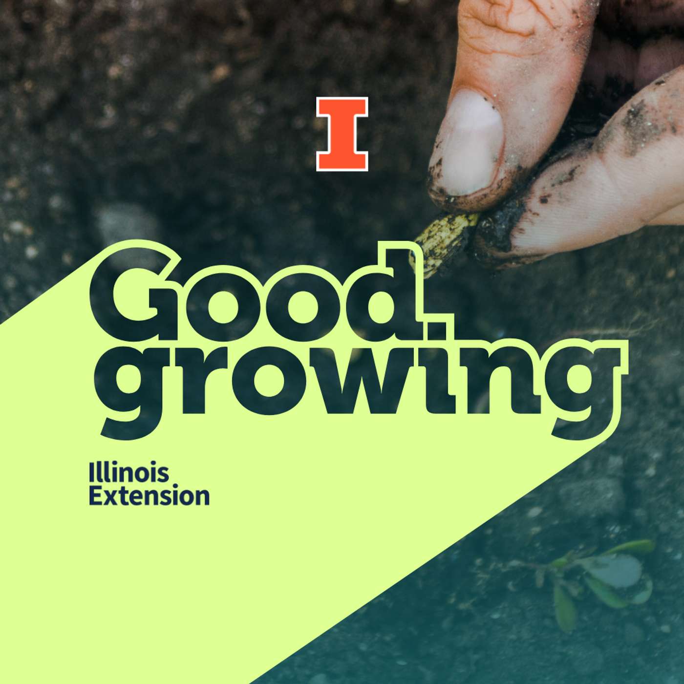 Good Growing