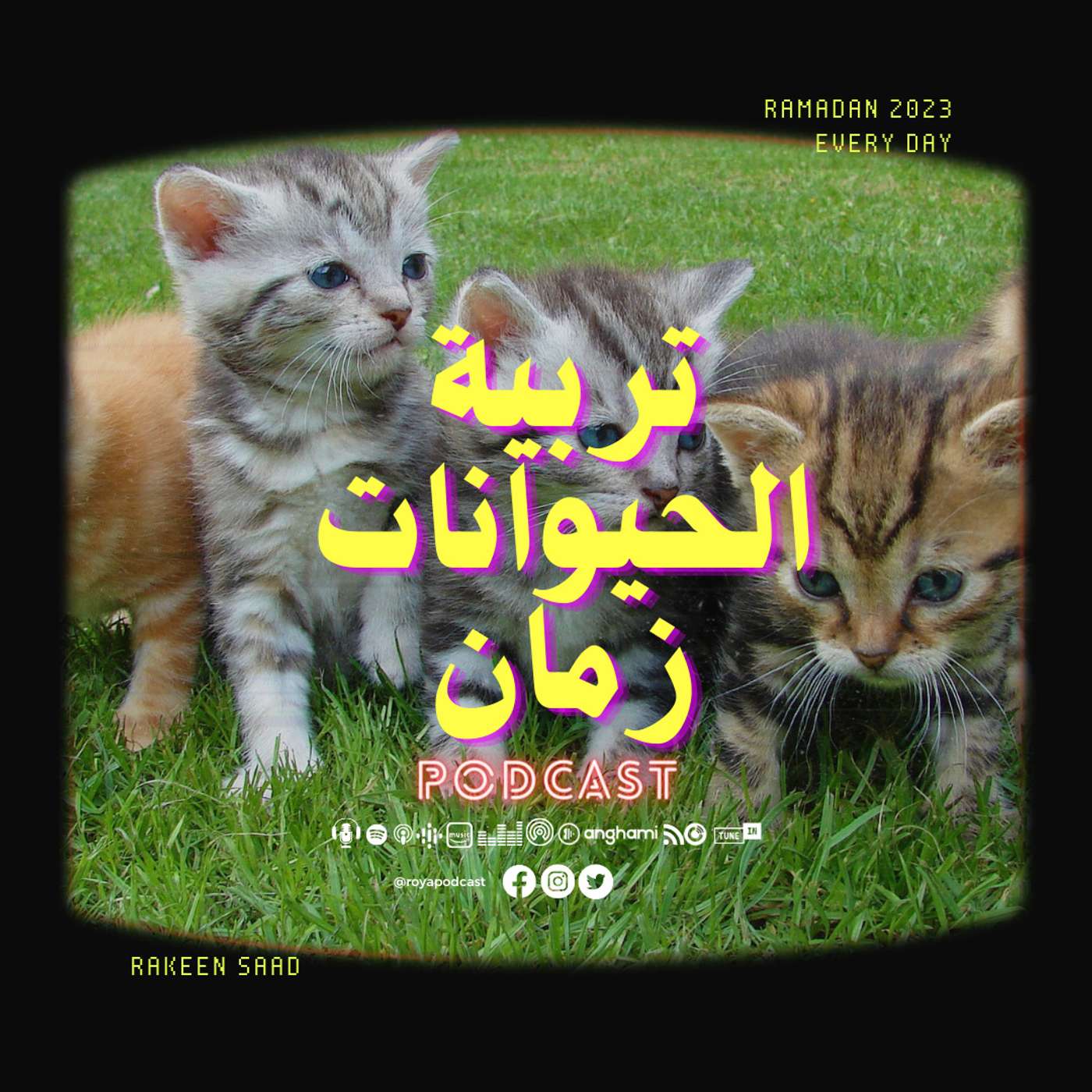 تربية الحيوانات زمان