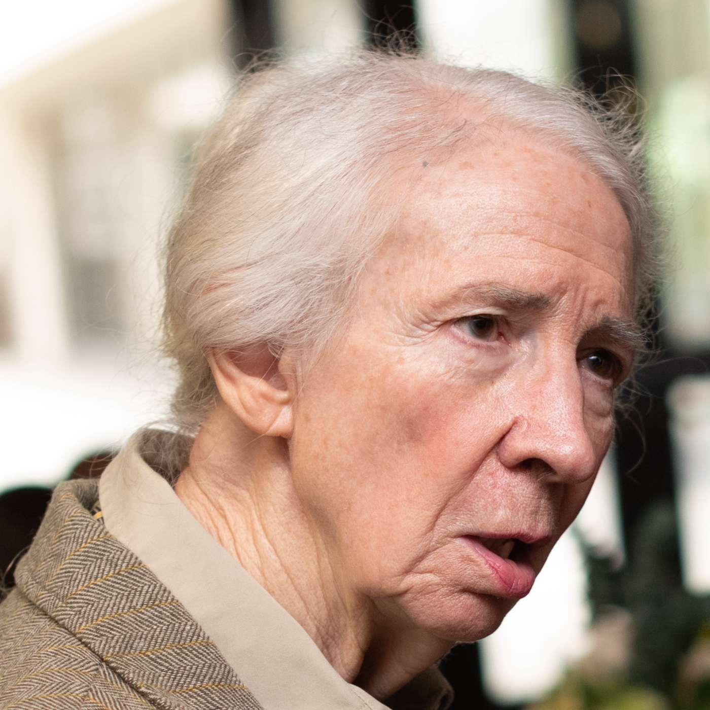 Curiosity Never Retires - Linda Freeman on 