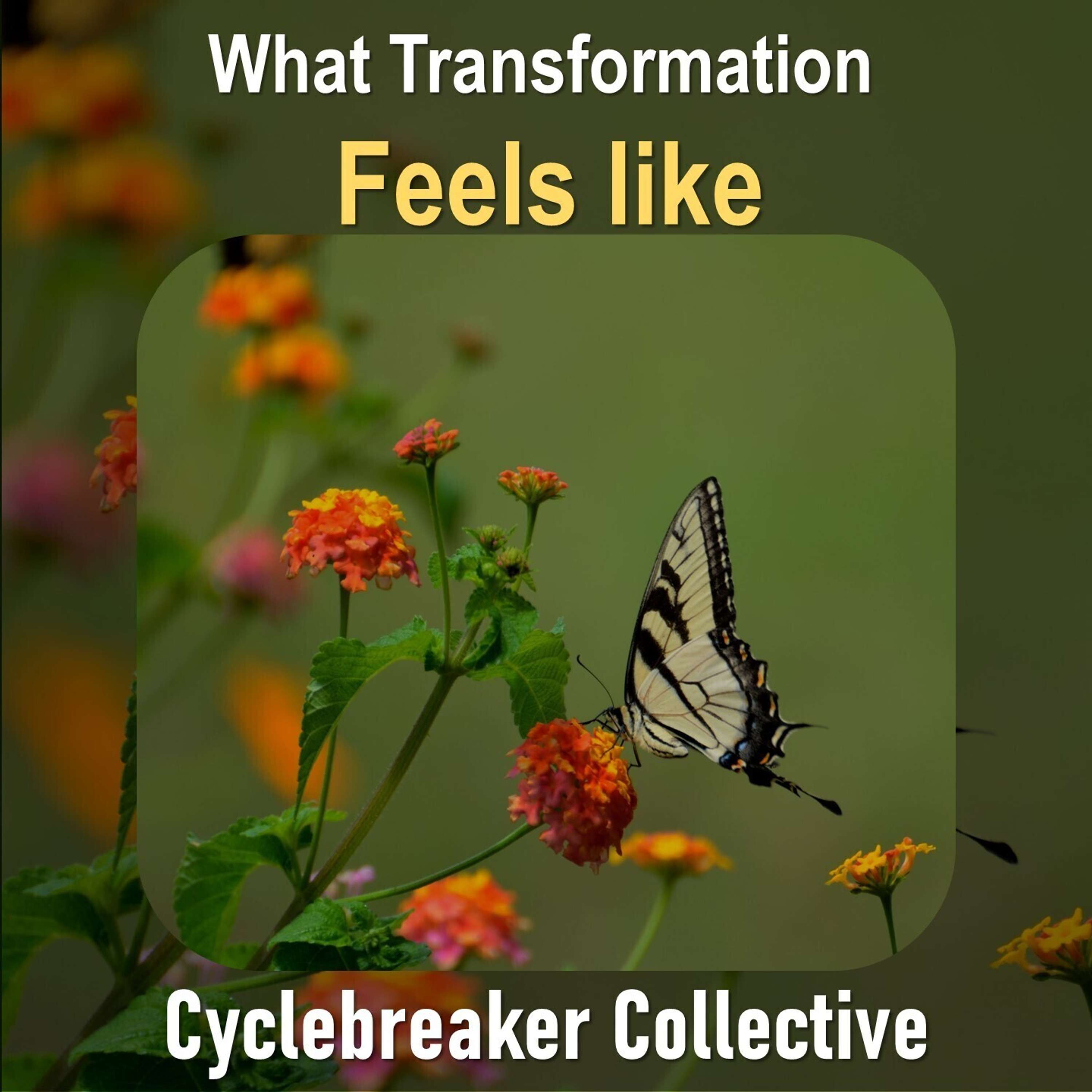 Trigger Proof Transmissions (Cyclebreaker Collective)