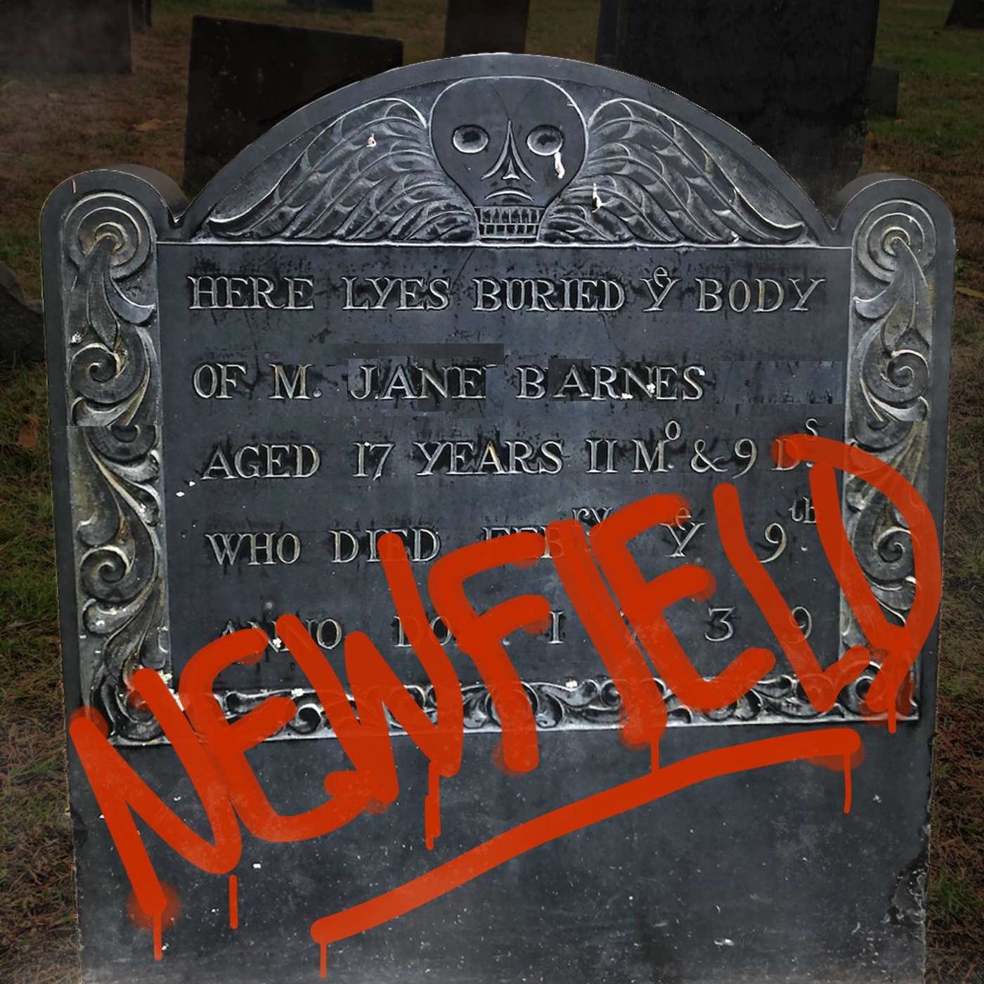 Part 1 - Welcome to Newfield