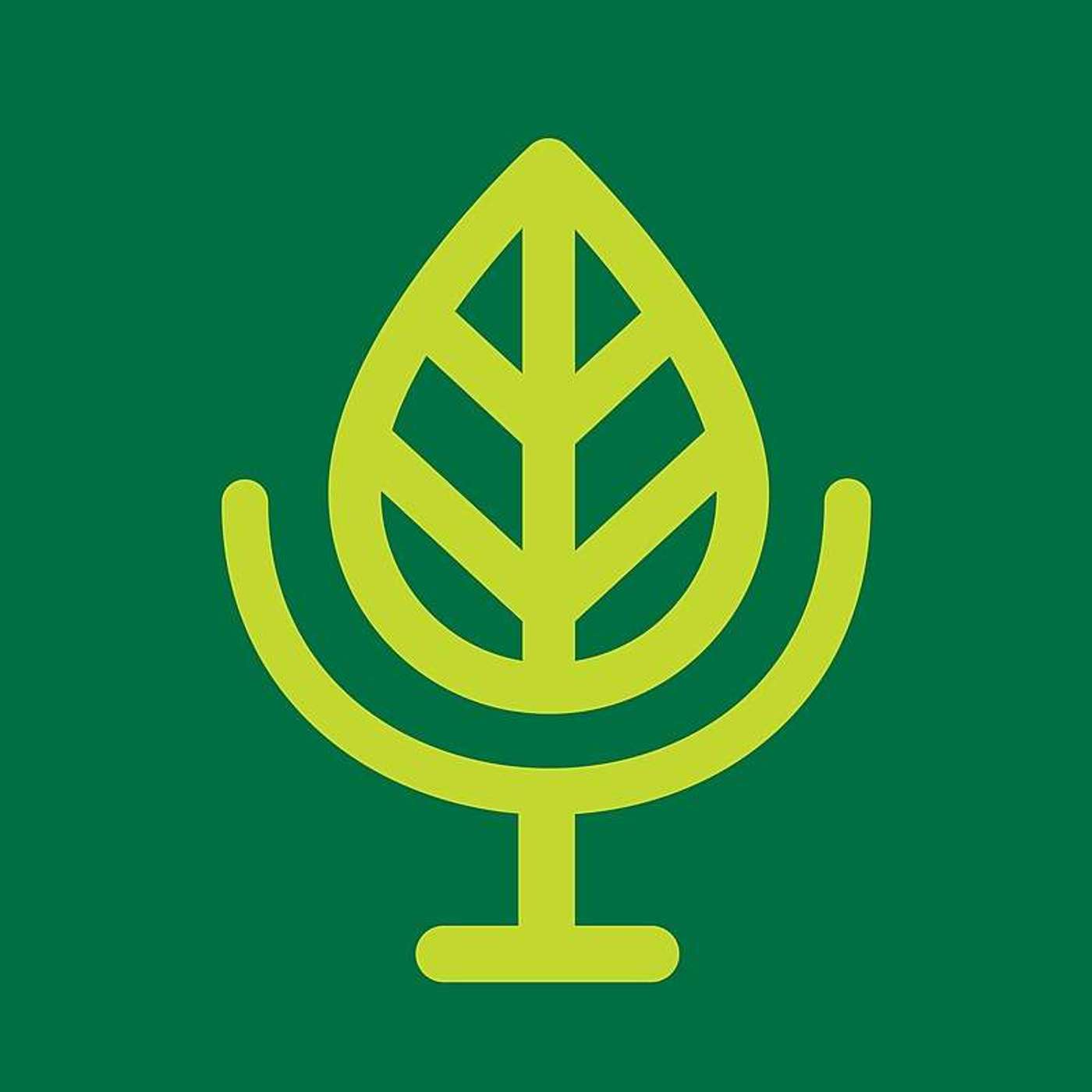 Terra Informa