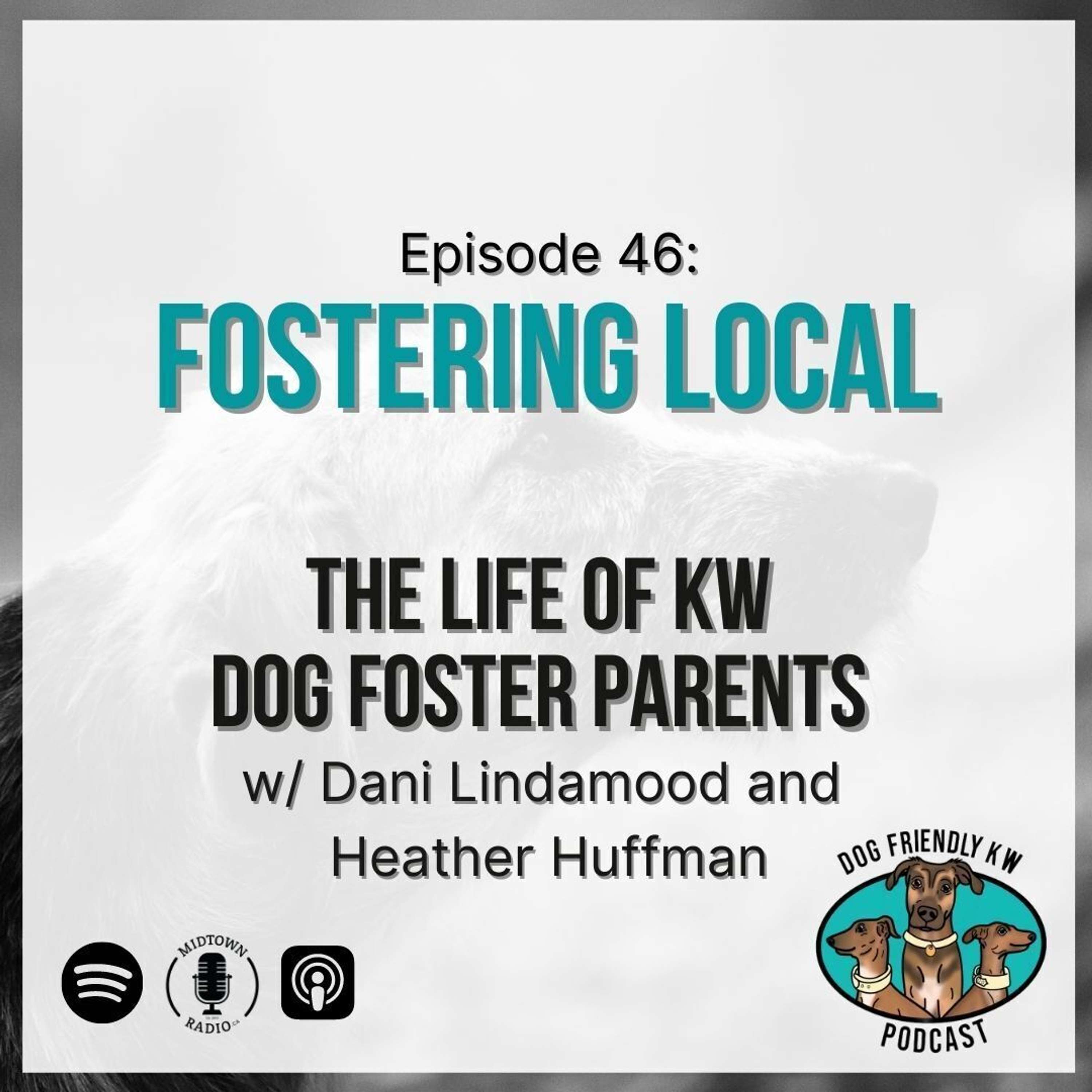 Fostering Local: The Life of KW DOG FOSTER Parents