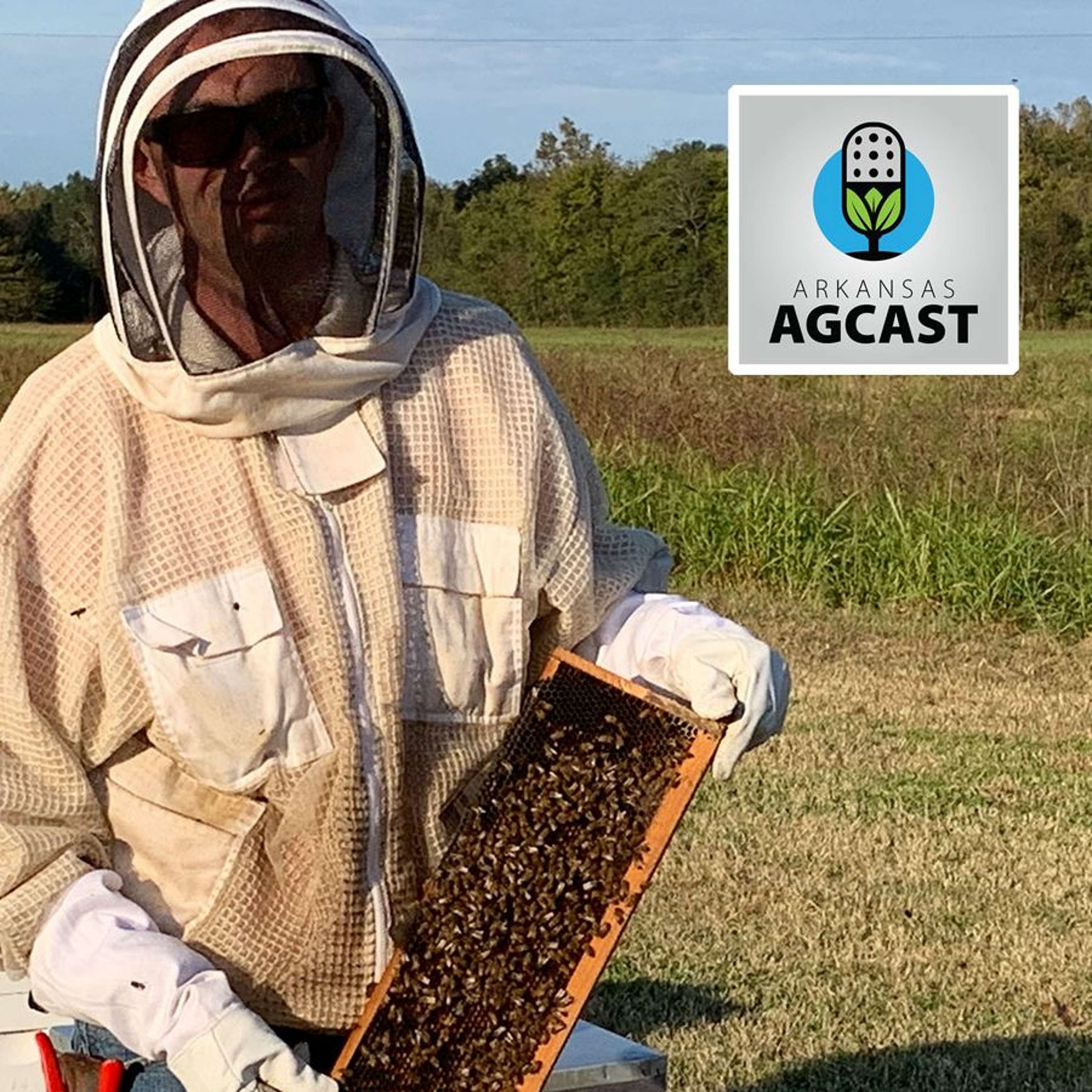 Arkansas AgCast