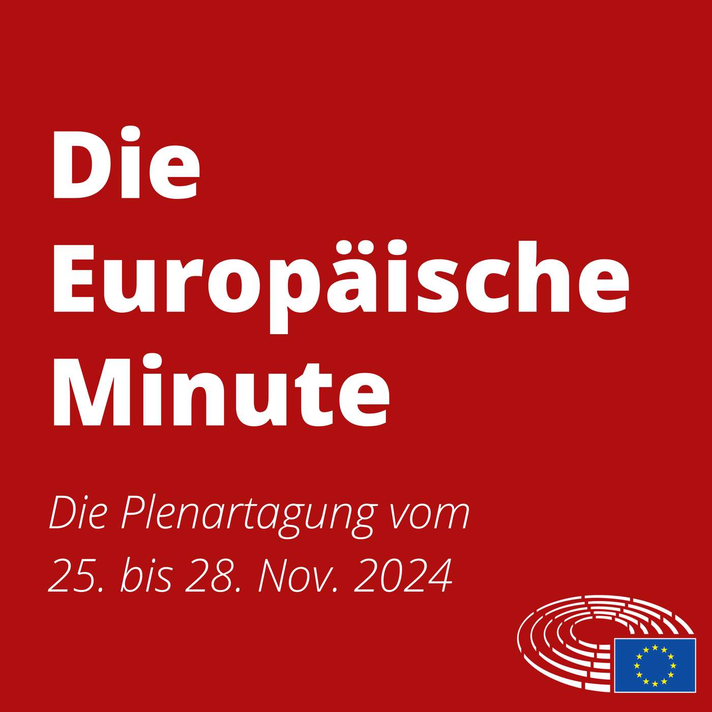 Plenarsitzung vom 25.–28.11.24
