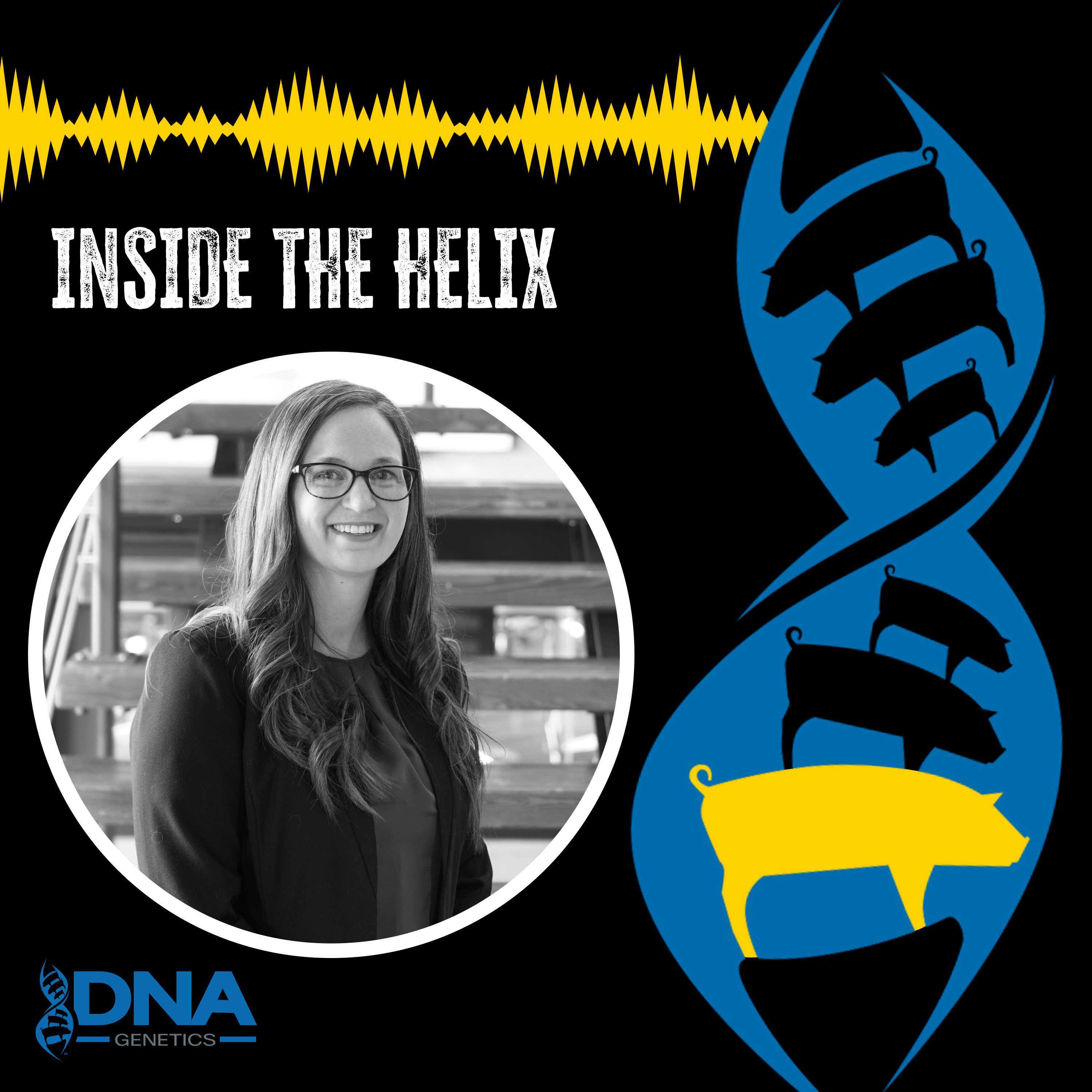 Inside the Helix