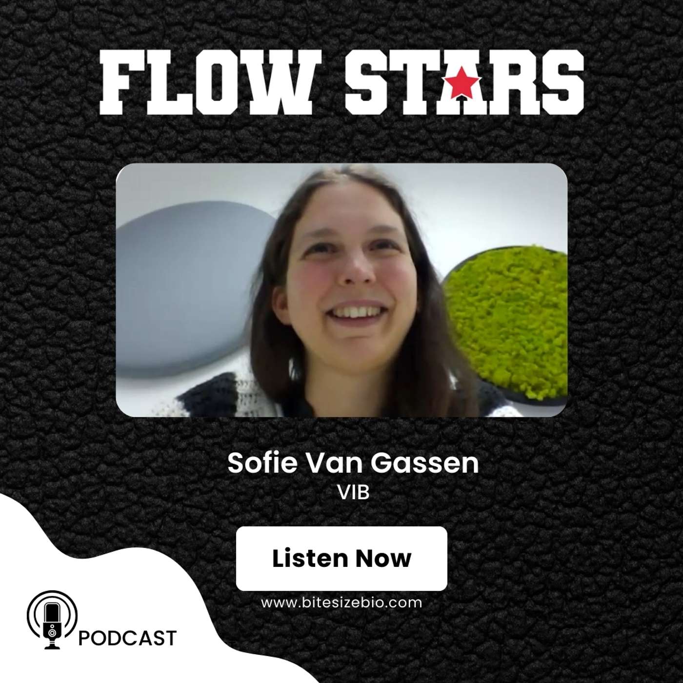 Sofie Van Gassen (VIB-UGent) Sofie Van Gassen (VIB-UGent)