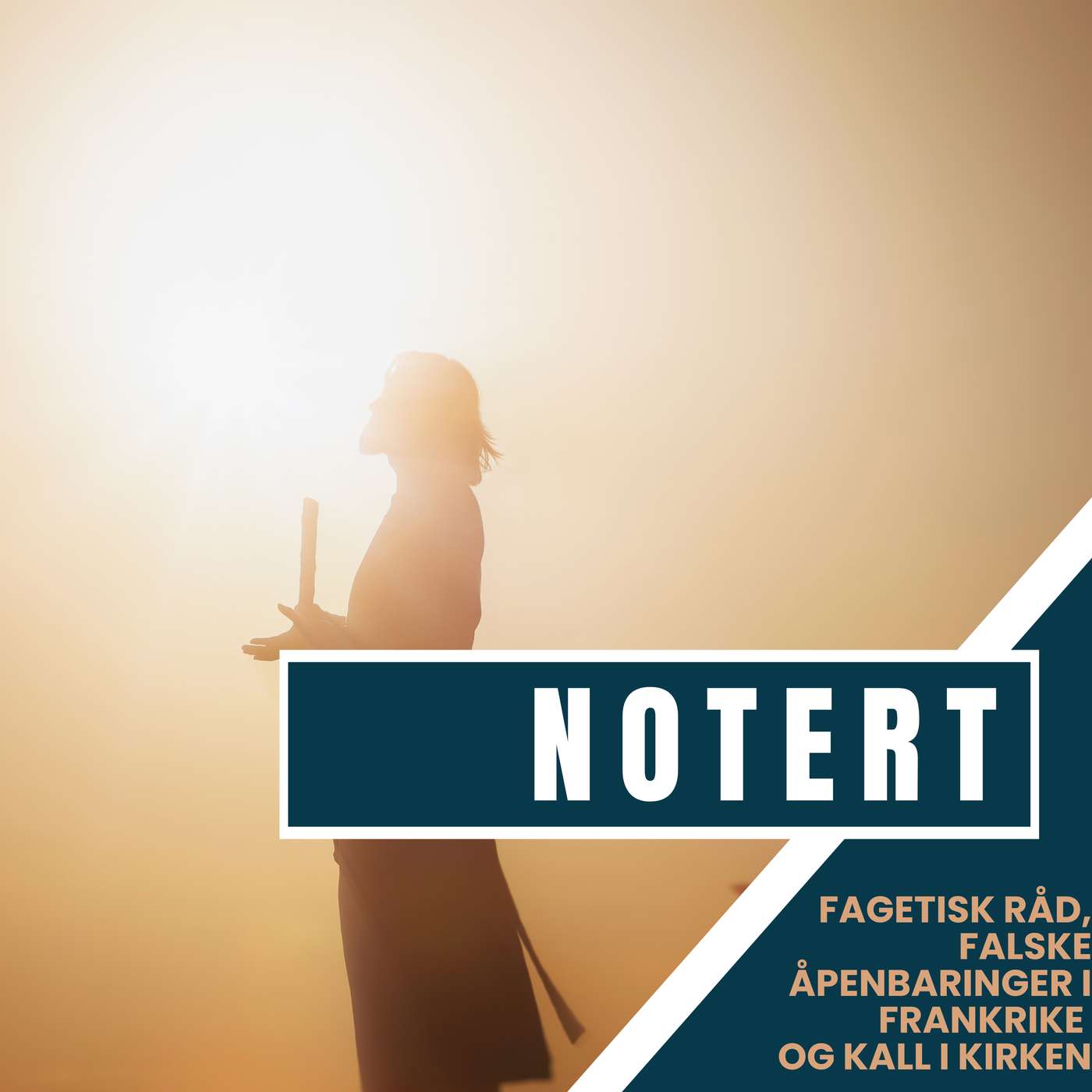 Notertpodkasten: Fagetisk råd, falske åpenbaringer i Frankrike og kall i Kirken