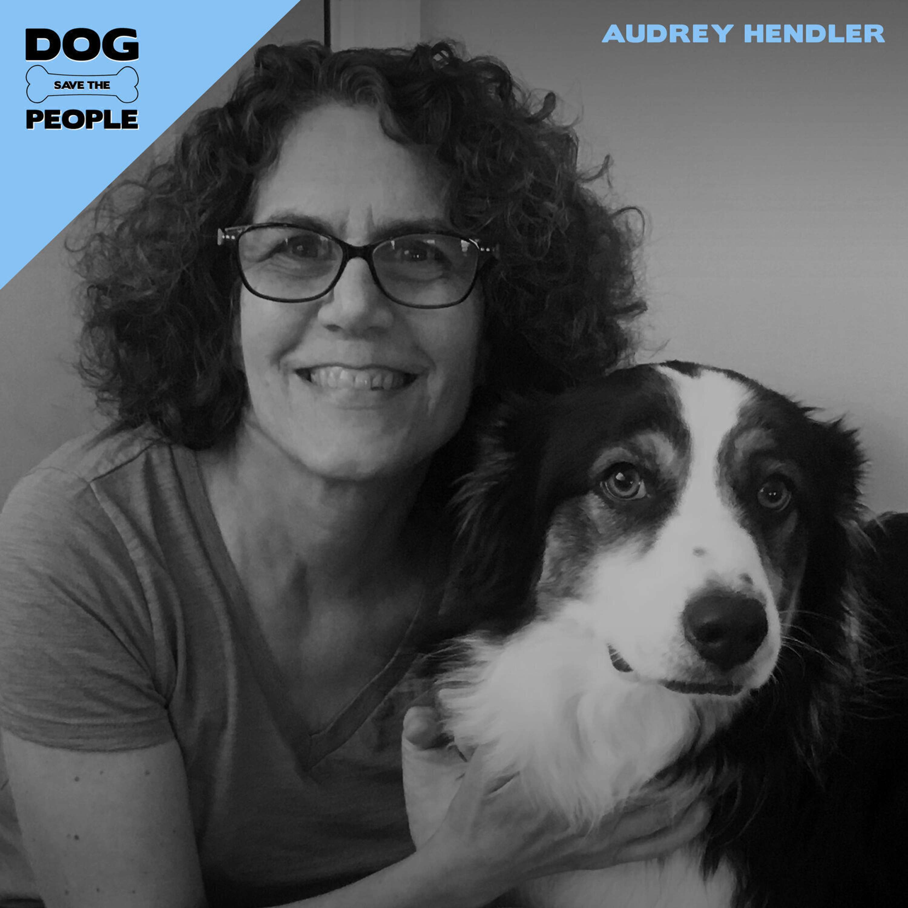 Empathy Unleashed w/ Audrey Hendler