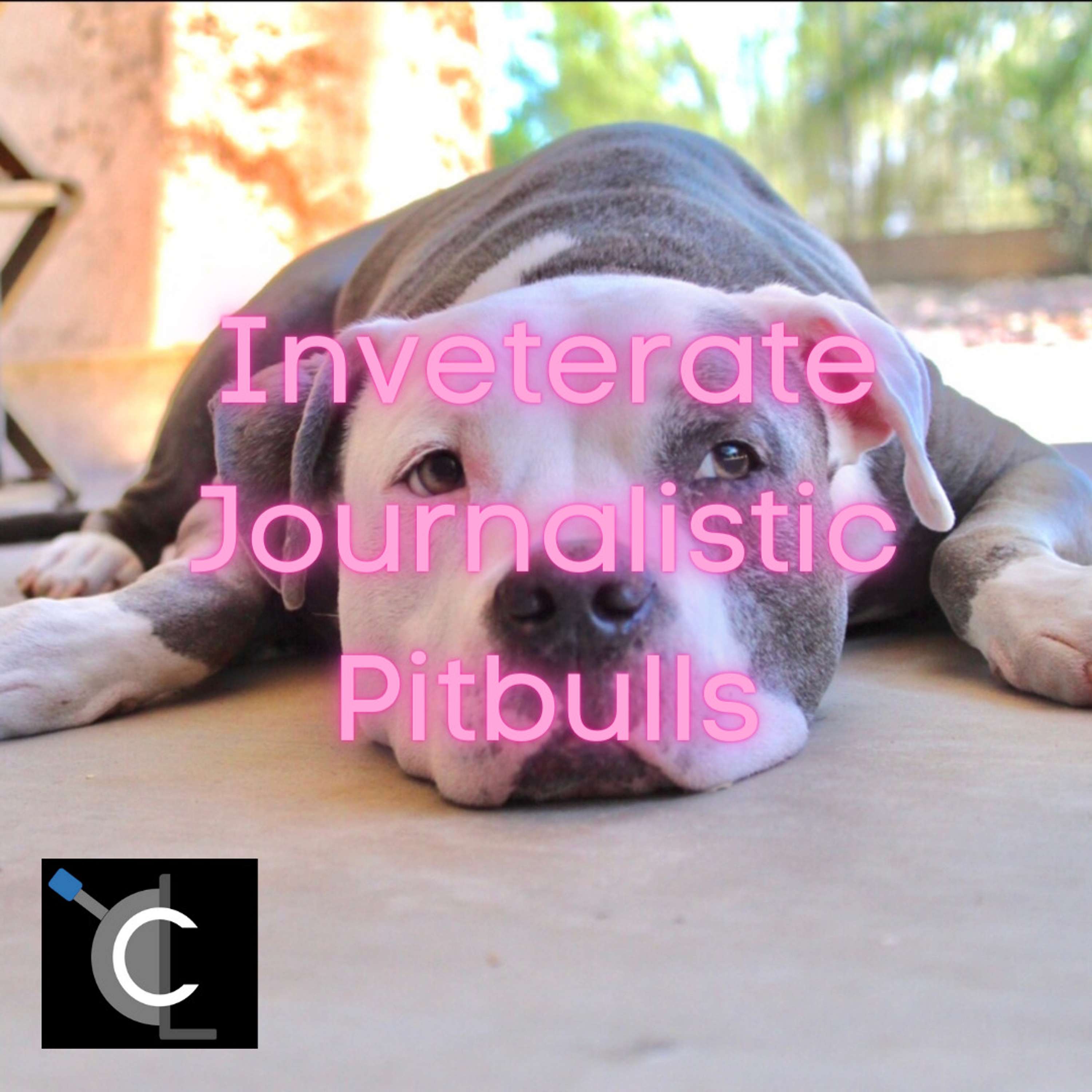 Inveterate Journalistic Pitbulls
          
          
            
              [30]