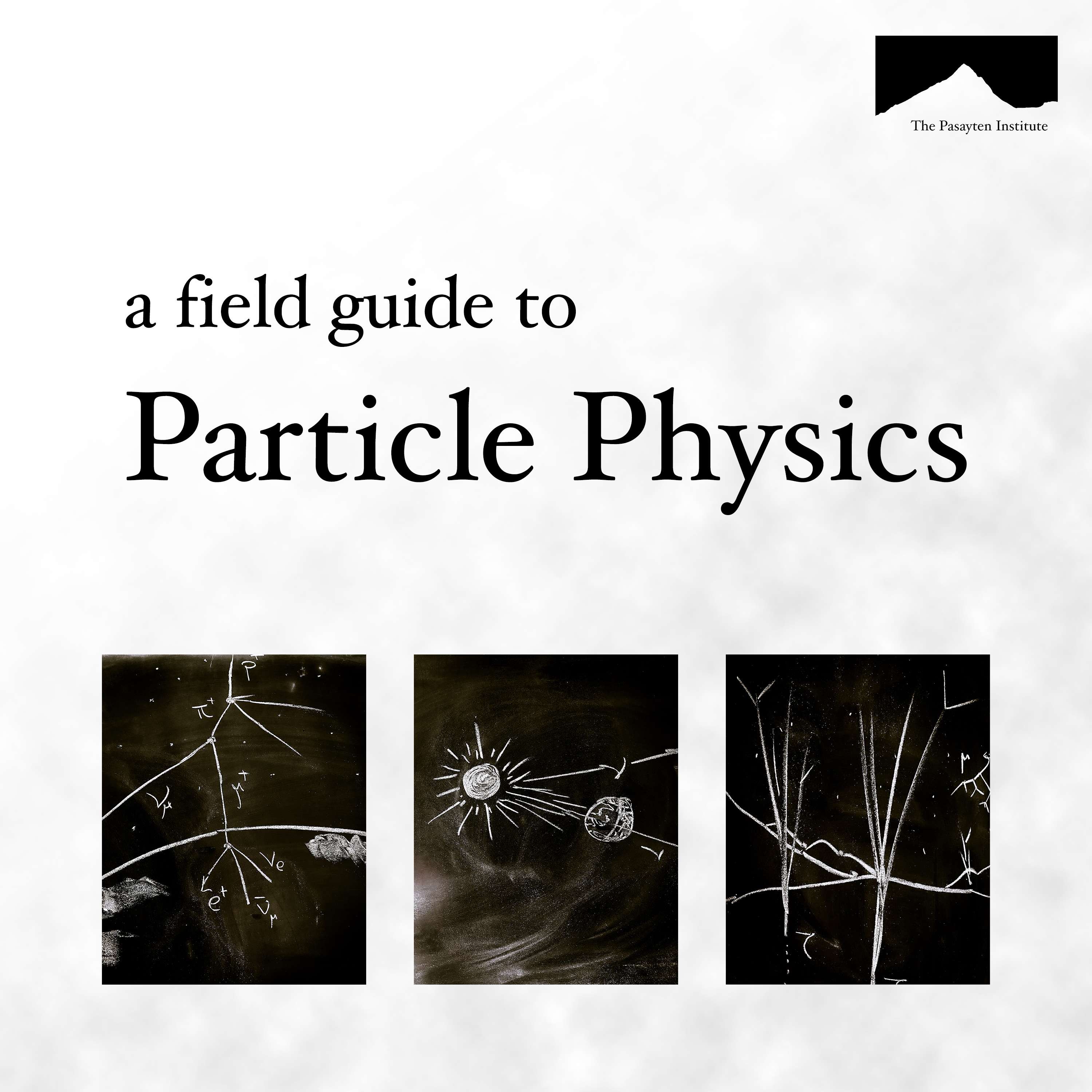 The Field Guide to Particle Physics Image