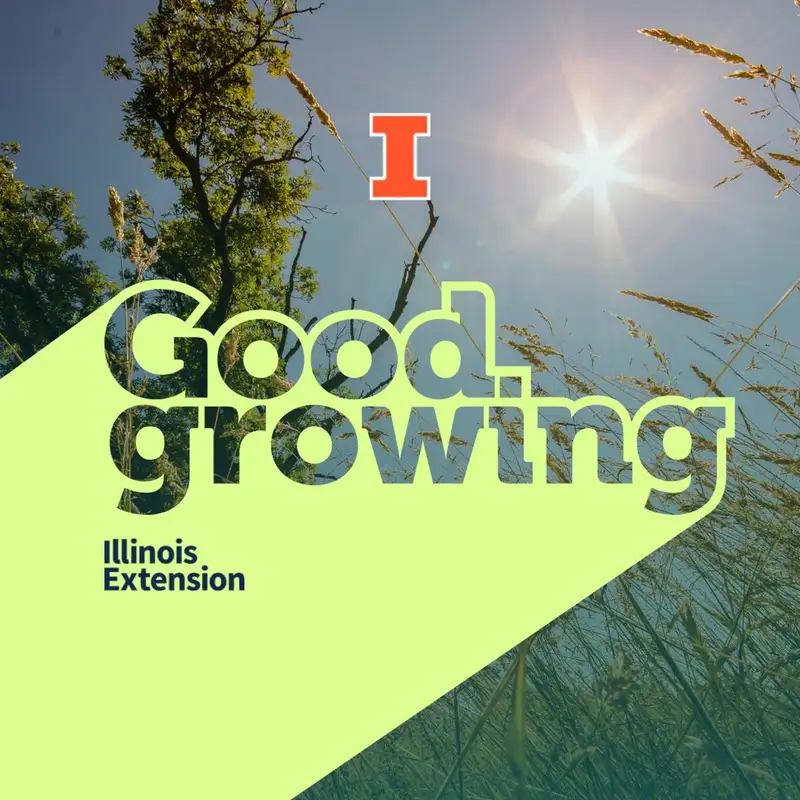 Ep. 110 - Gardening in the heat | #GoodGrowing