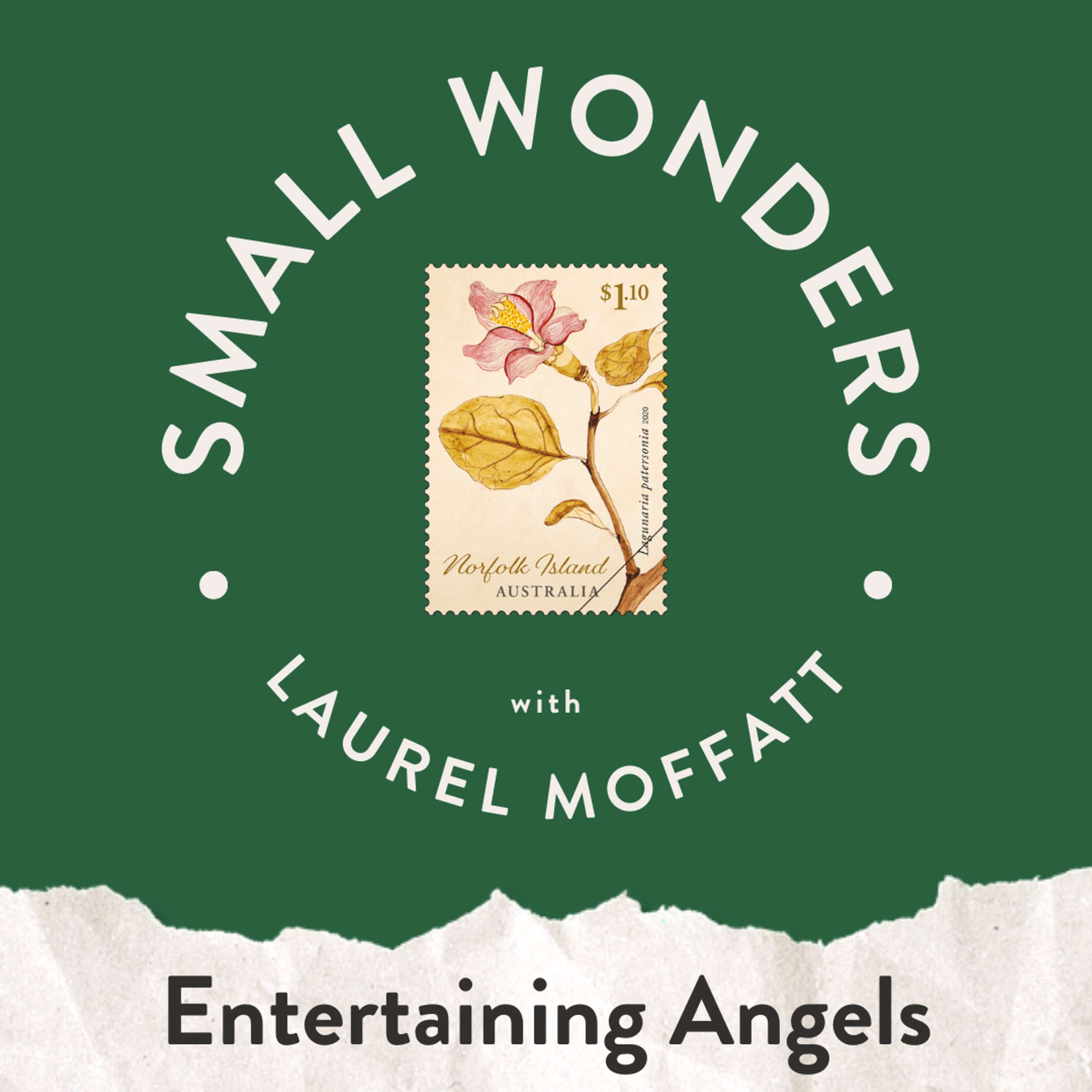 Small Wonders