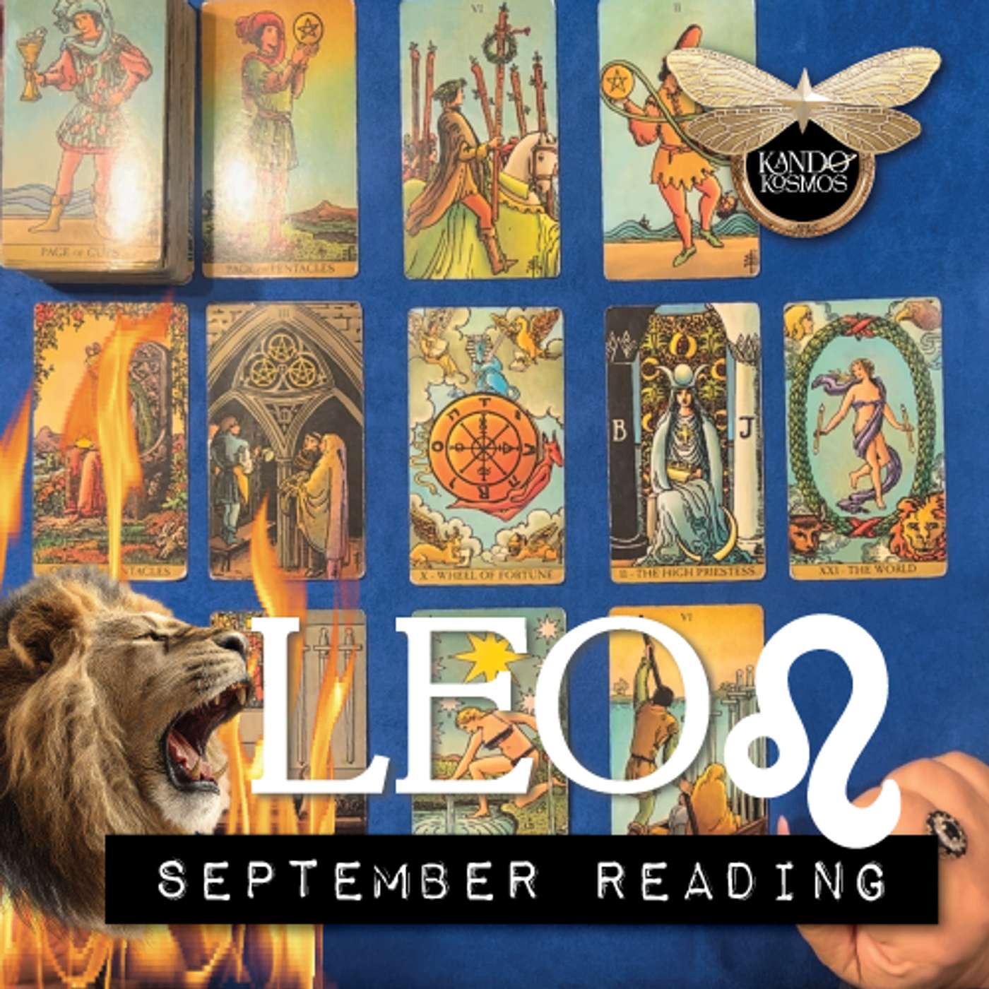 LEO ♌️ Your heart & intuition know the way! September general tarot reading