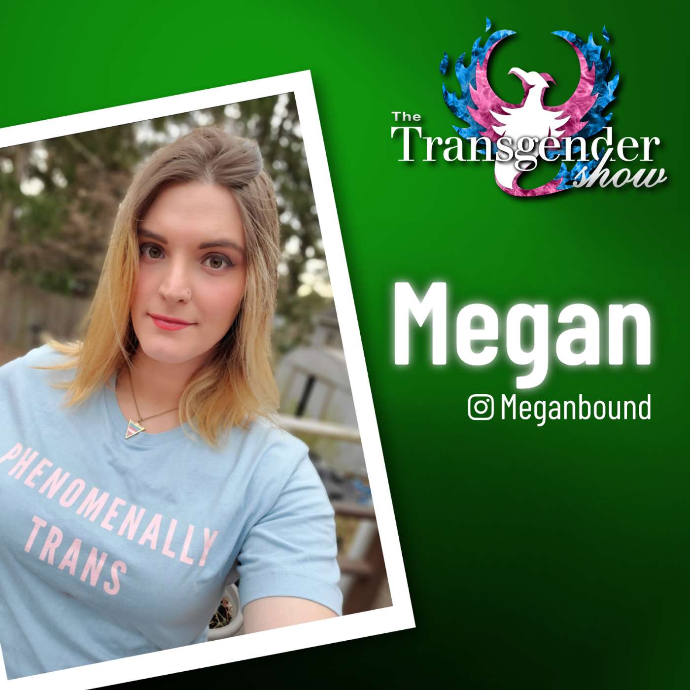 The Transgender Show