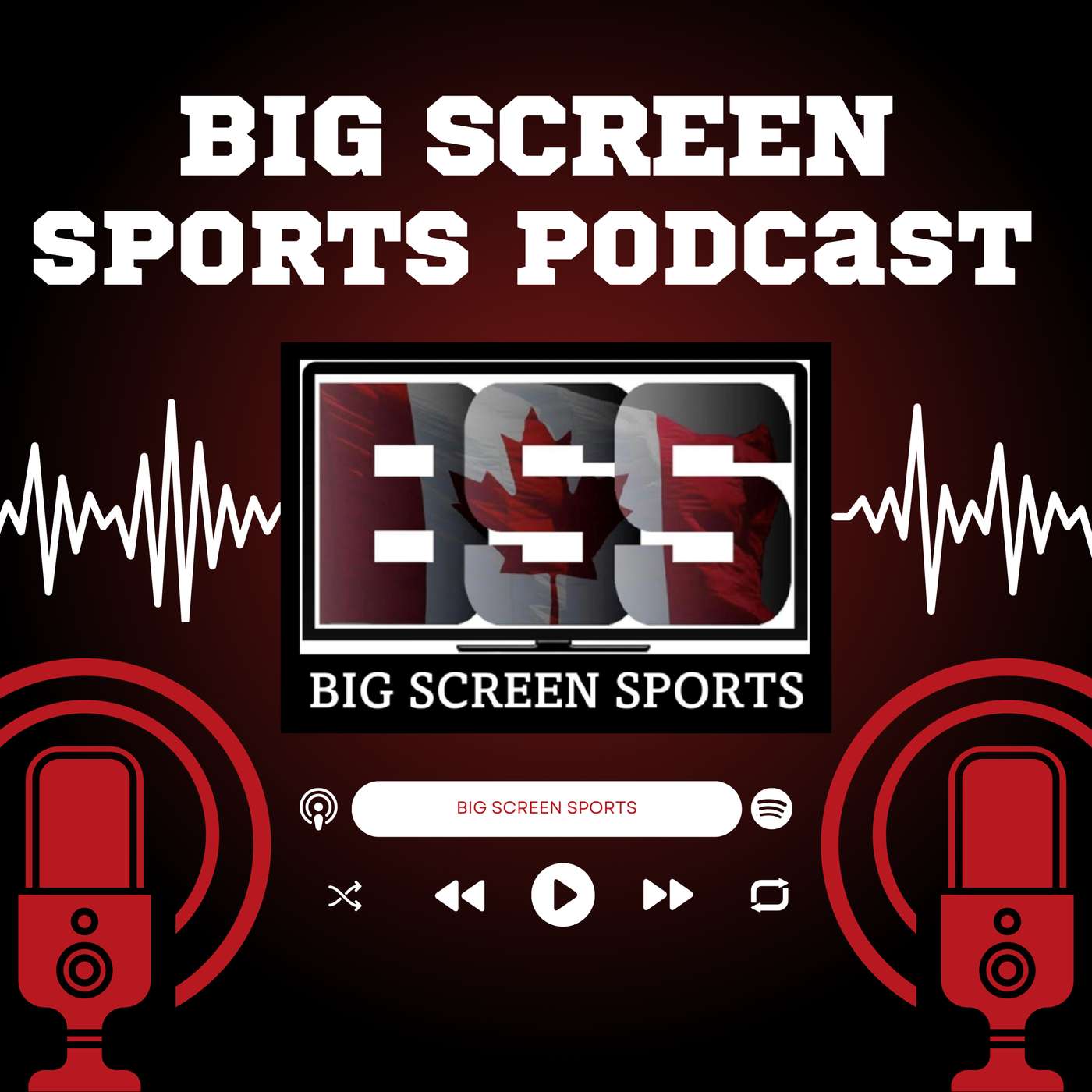 Big Screen Sports