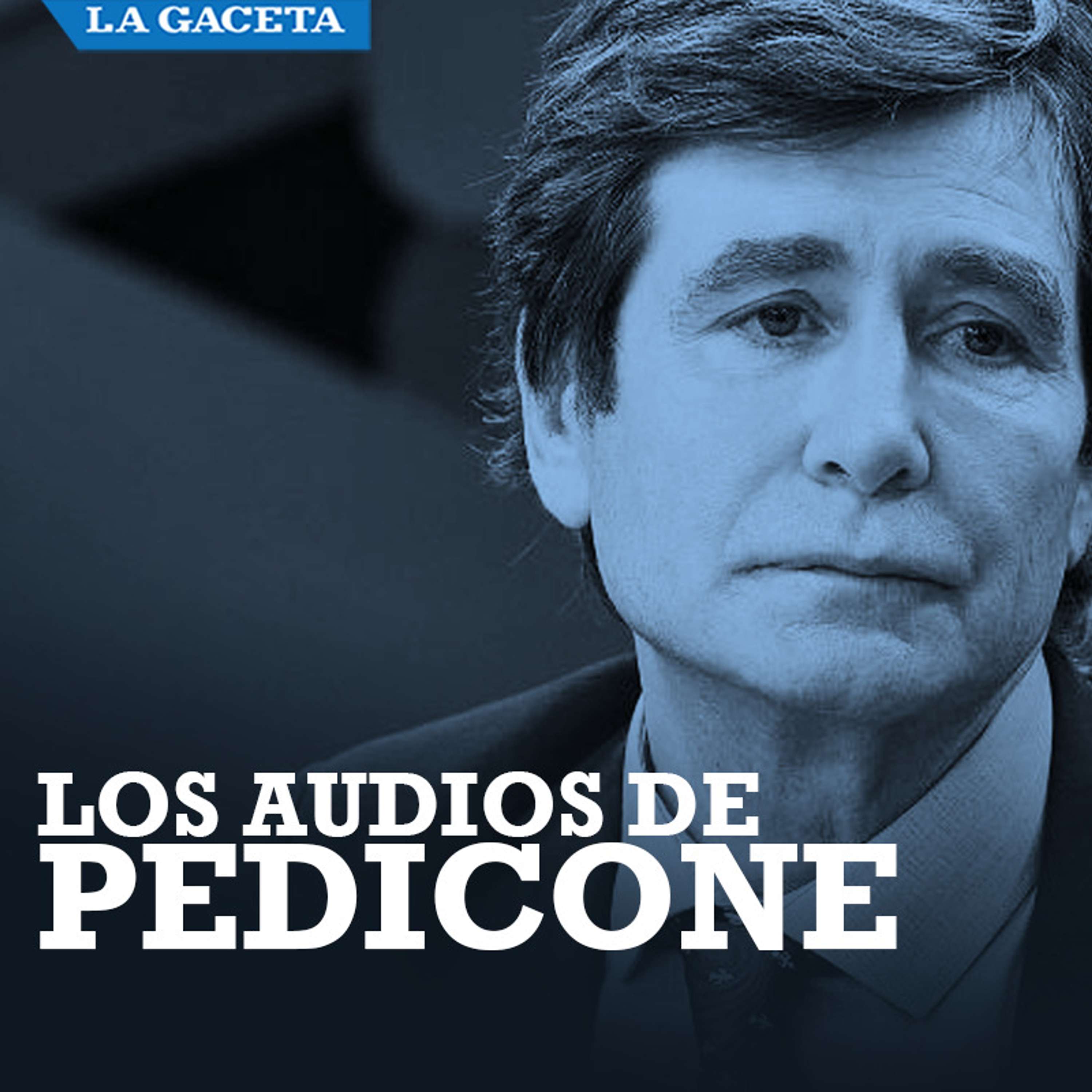 Los audios de Pedicone
