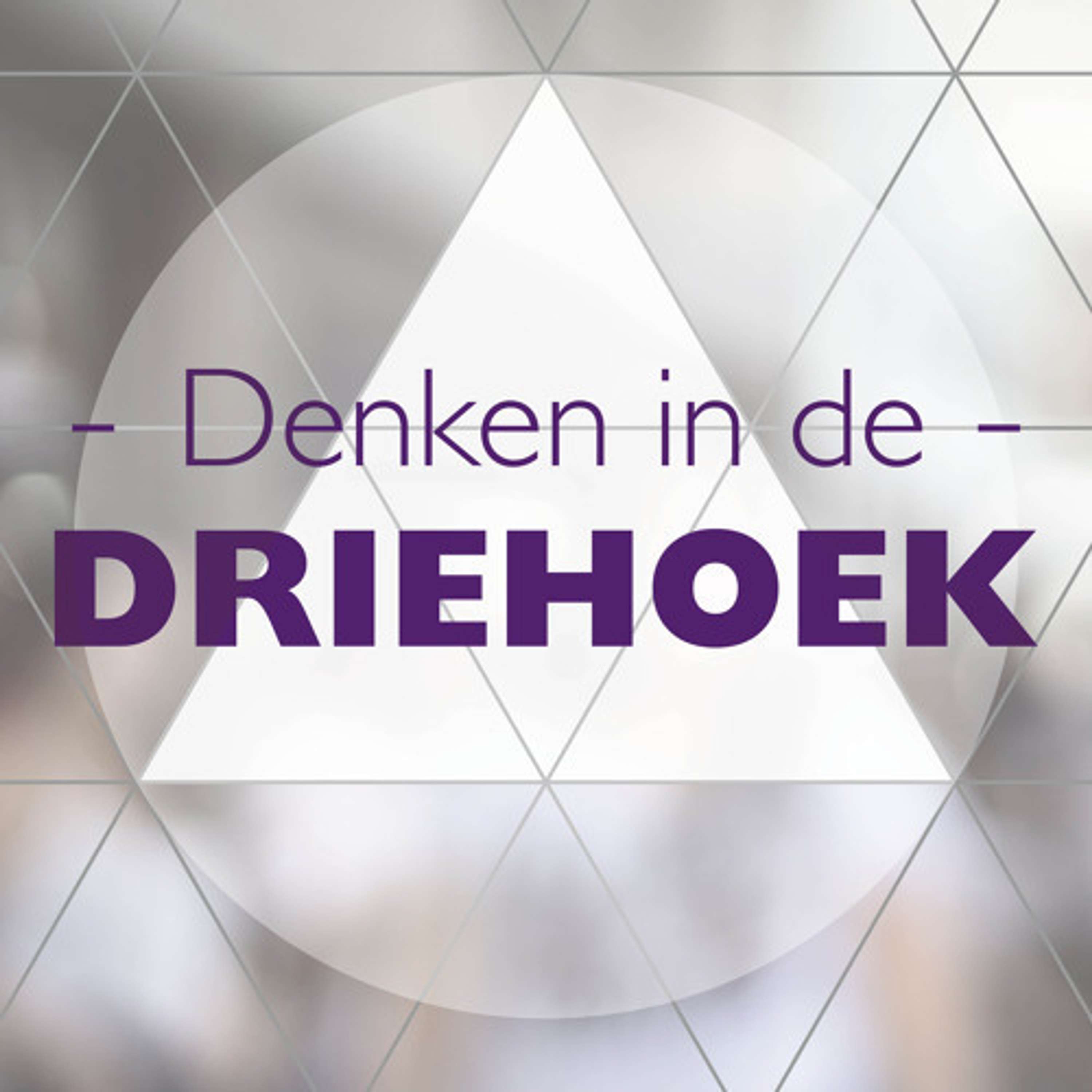 Denken in de Driehoek