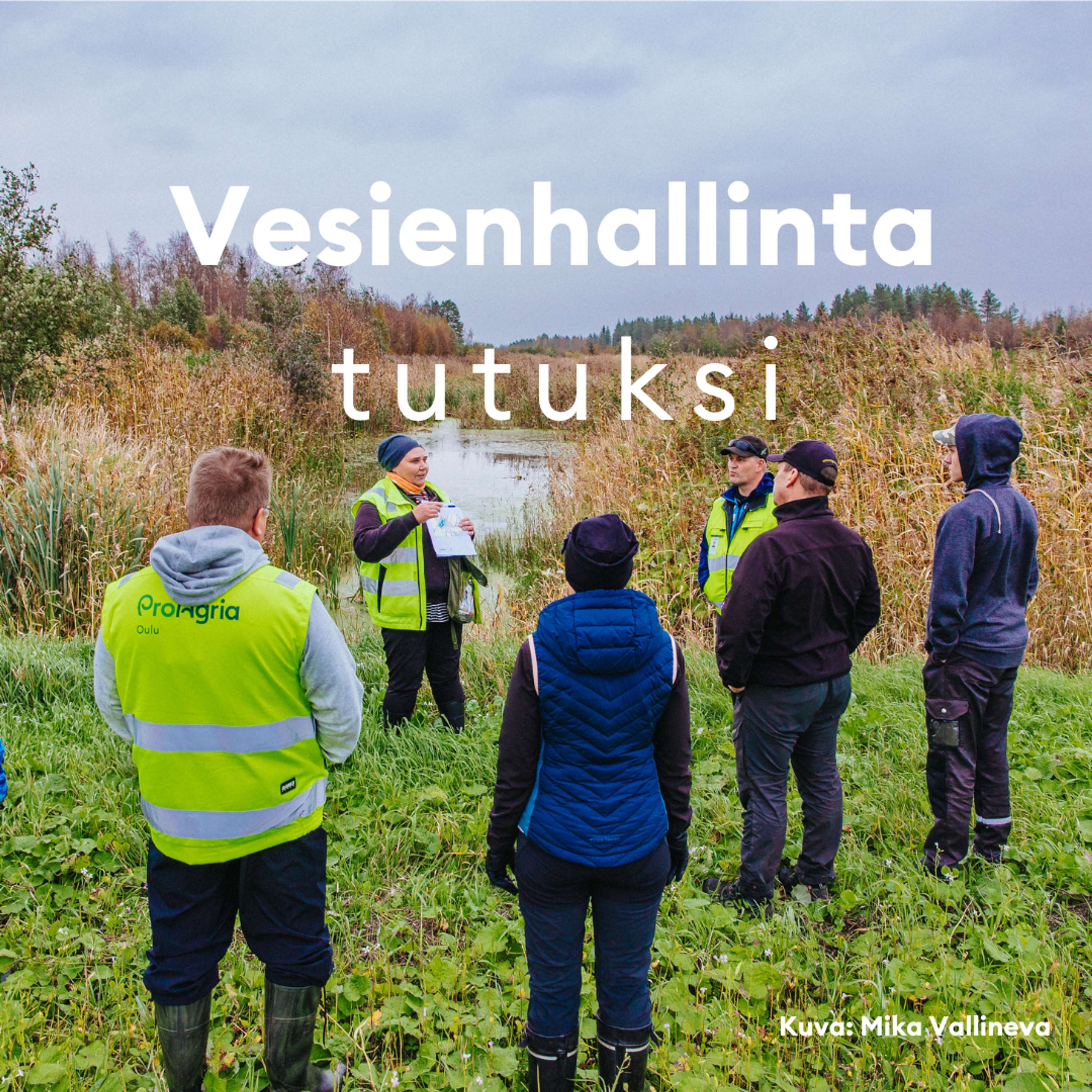 Vesienhallinta tutuksi