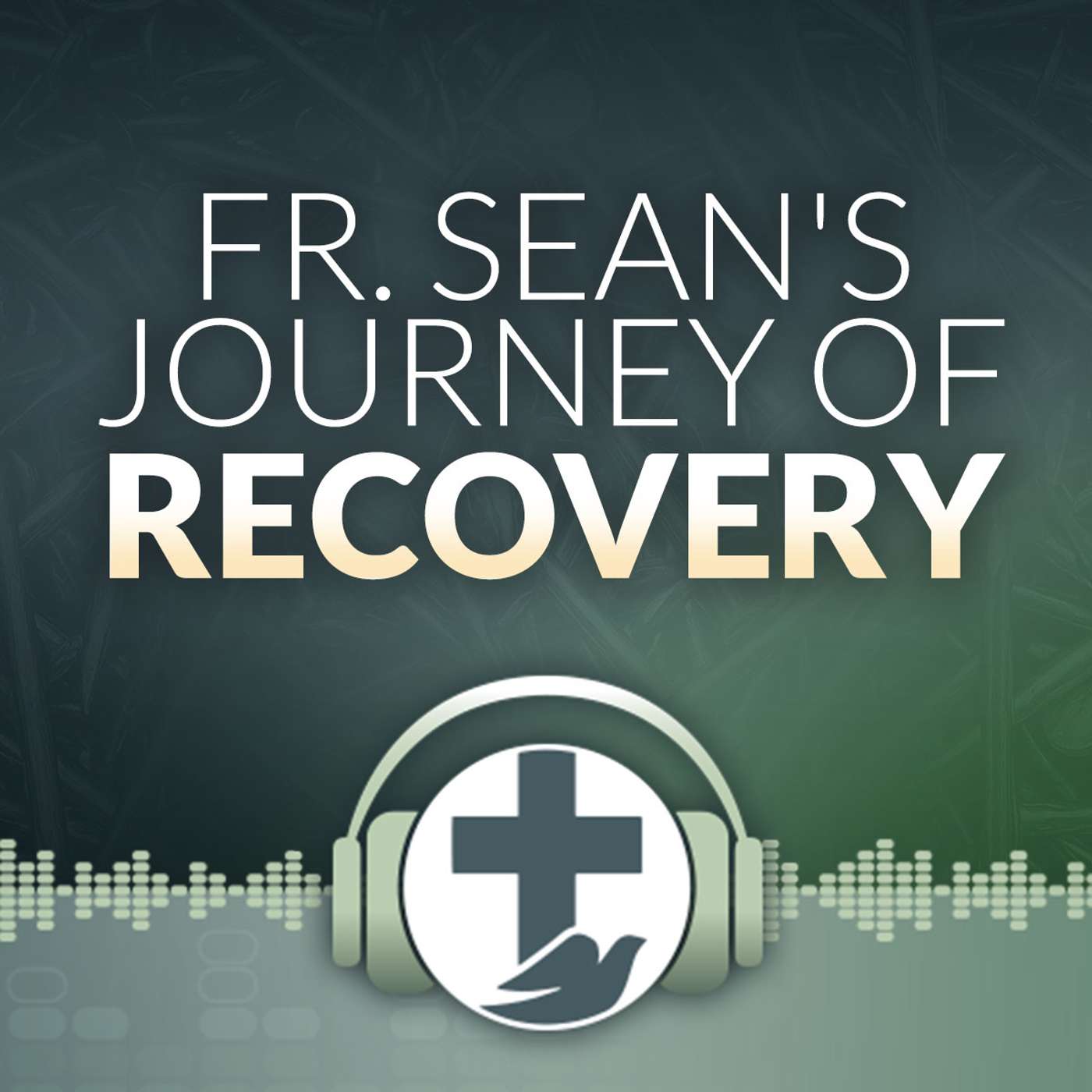 Fr. Sean's Journey of Recovery Fr. Sean's Journey of Recovery