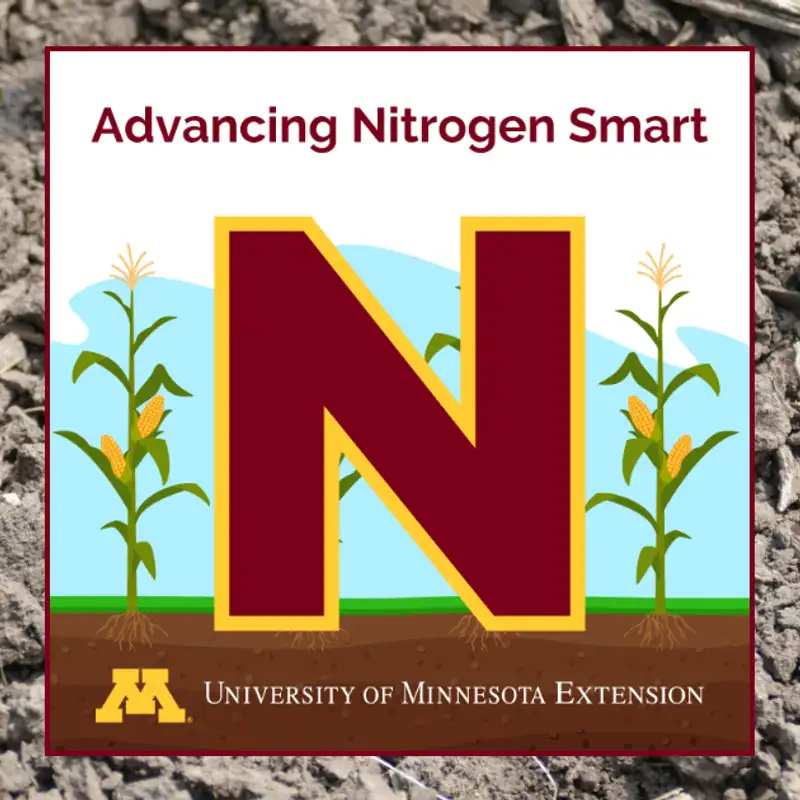 Carryover nitrogen: A potential credit for N fertilizer reduction in Minnesota