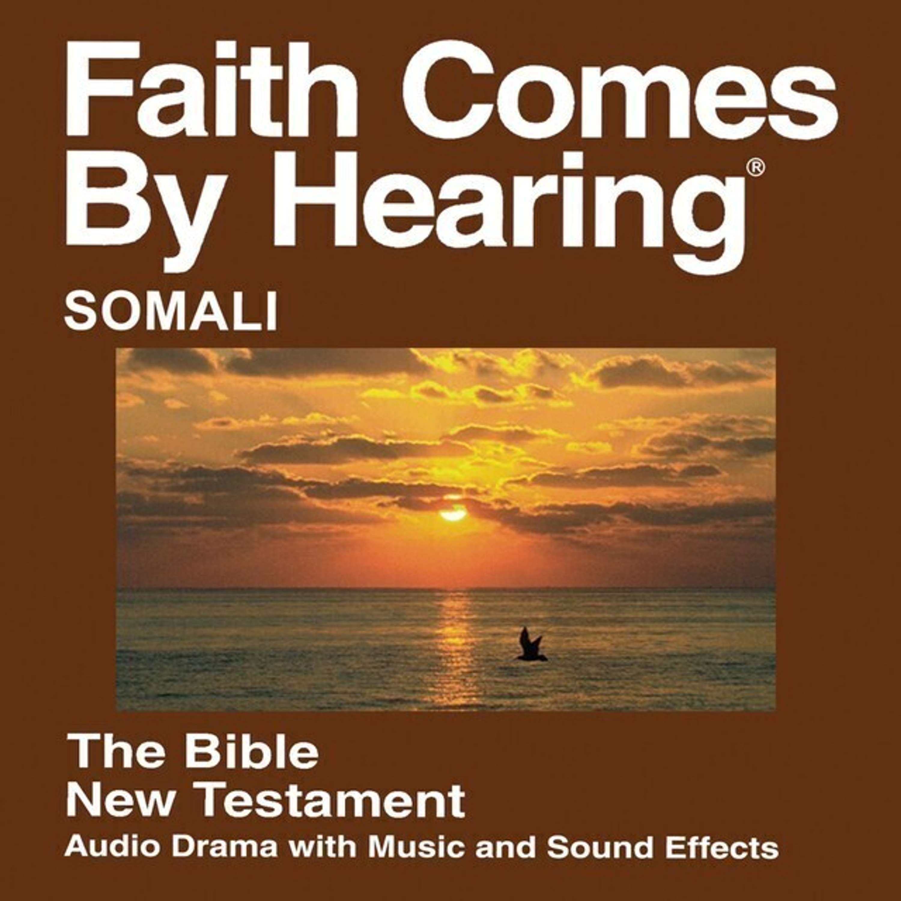 Somali Audio Bible New Testament 