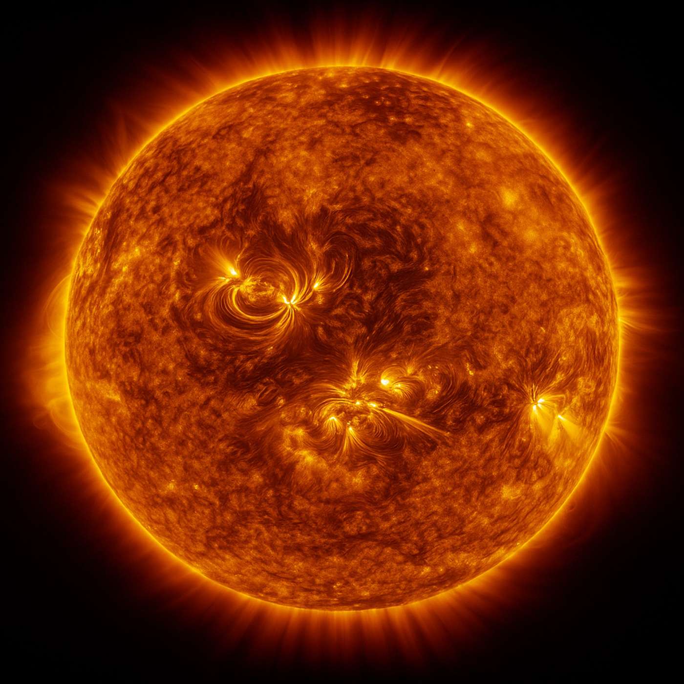 Solar Reality - A Radical Reassessment of Life, Intelligence, and Causality Solar Reality - A Radical Reassessment of Life, Intelligence, and Causality