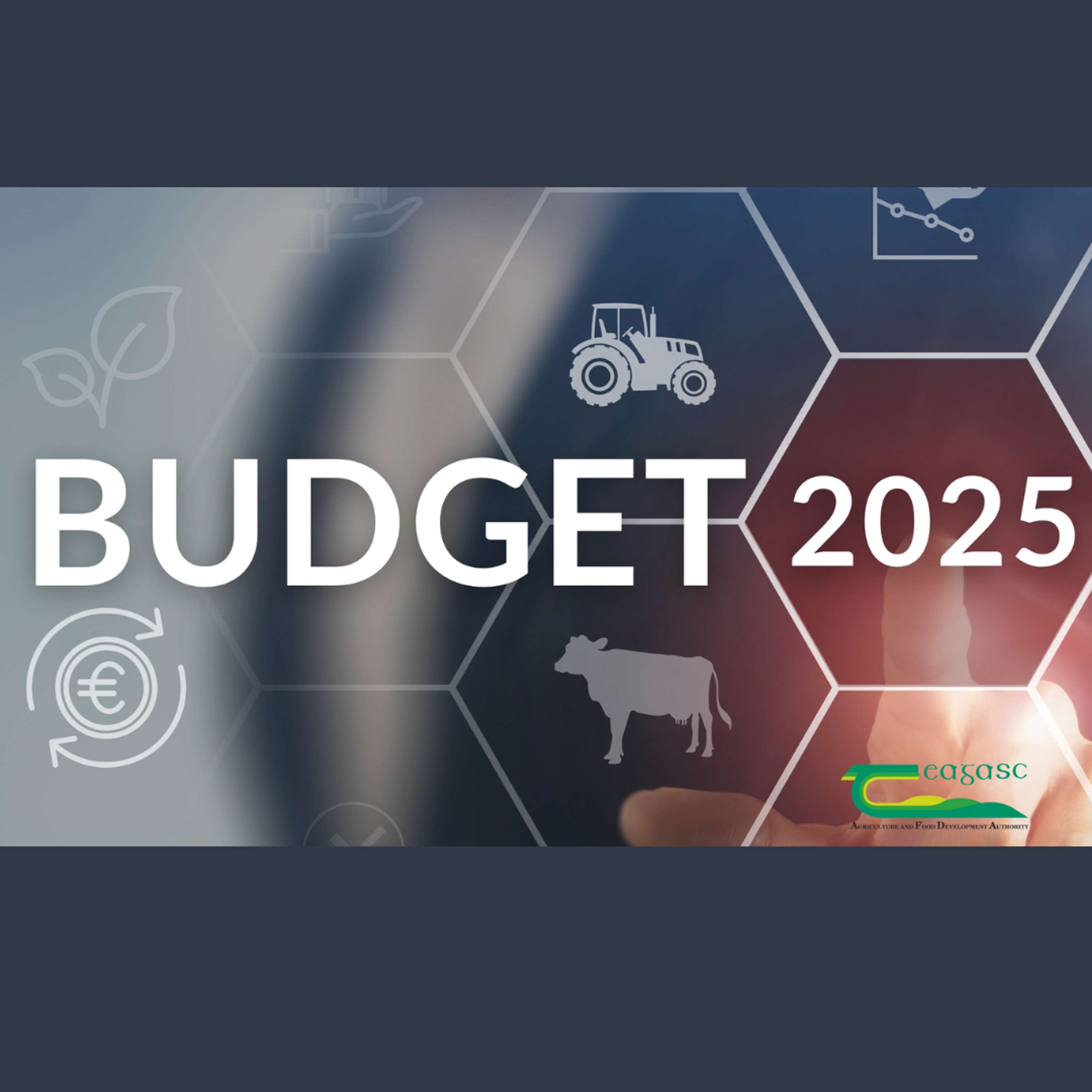 Budget 2025 – here’s what beef farmers need to know