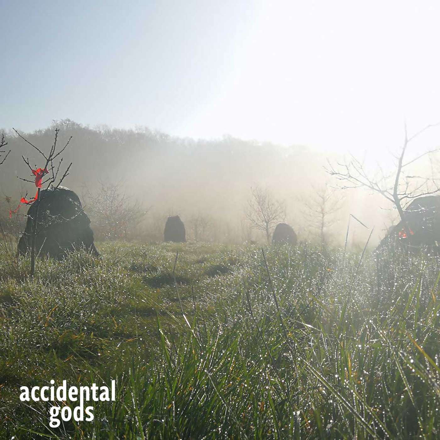 Accidental Gods