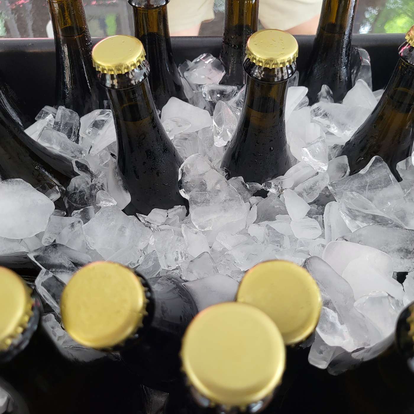 All About Beer