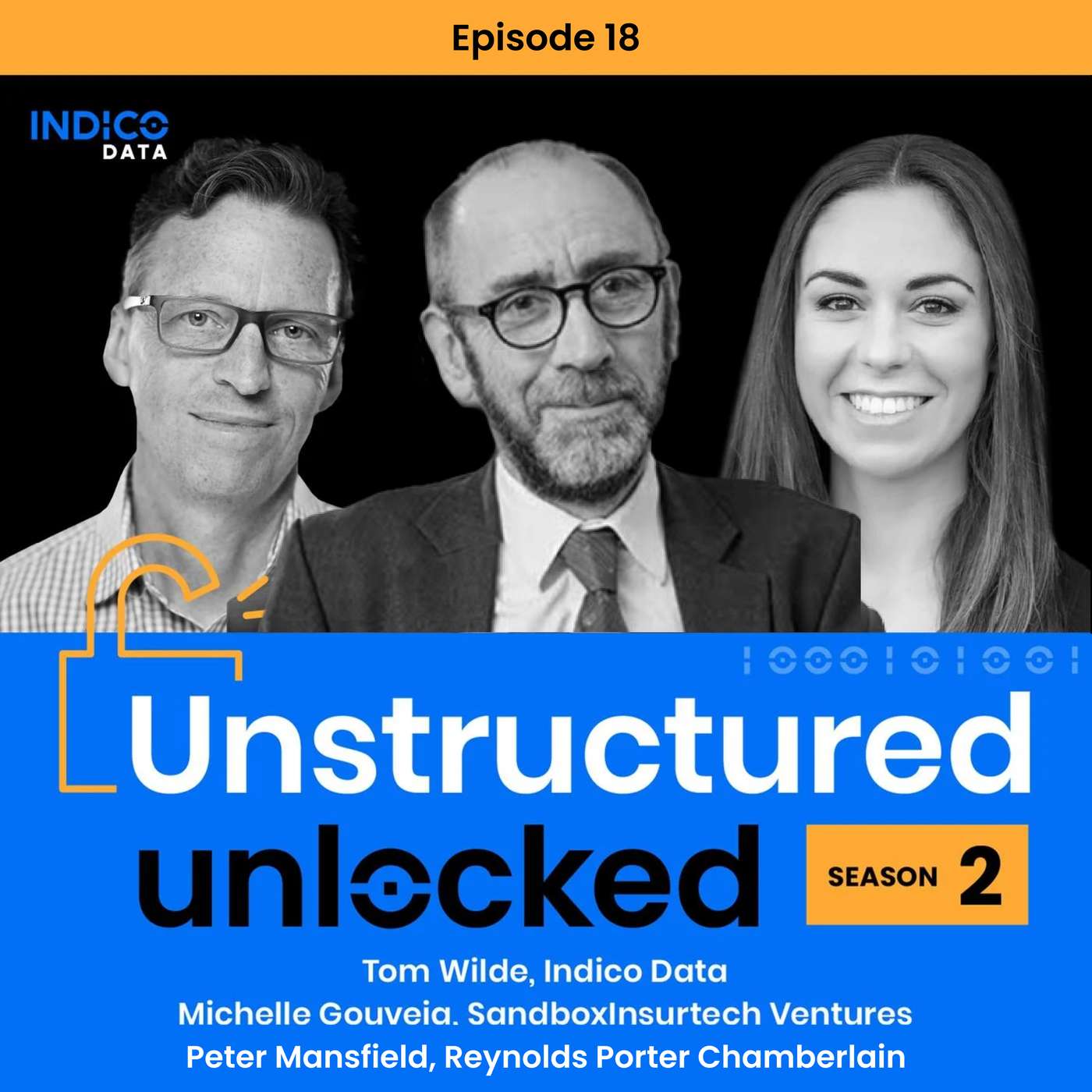 AI in Revolutionizing Data Processing with Peter Mansfield, Partner at Reynolds Porter Chamberlain AI in Revolutionizing Data Processing with Peter Mansfield, Partner at Reynolds Porter Chamberlain