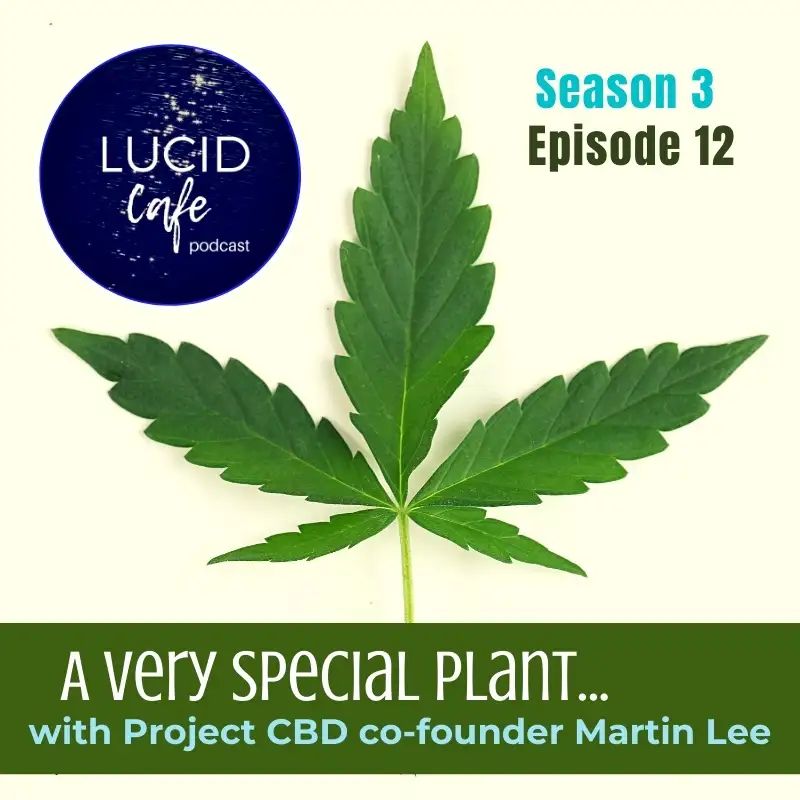 A Very Special Plant....with Project CBD co-founder Martin Lee