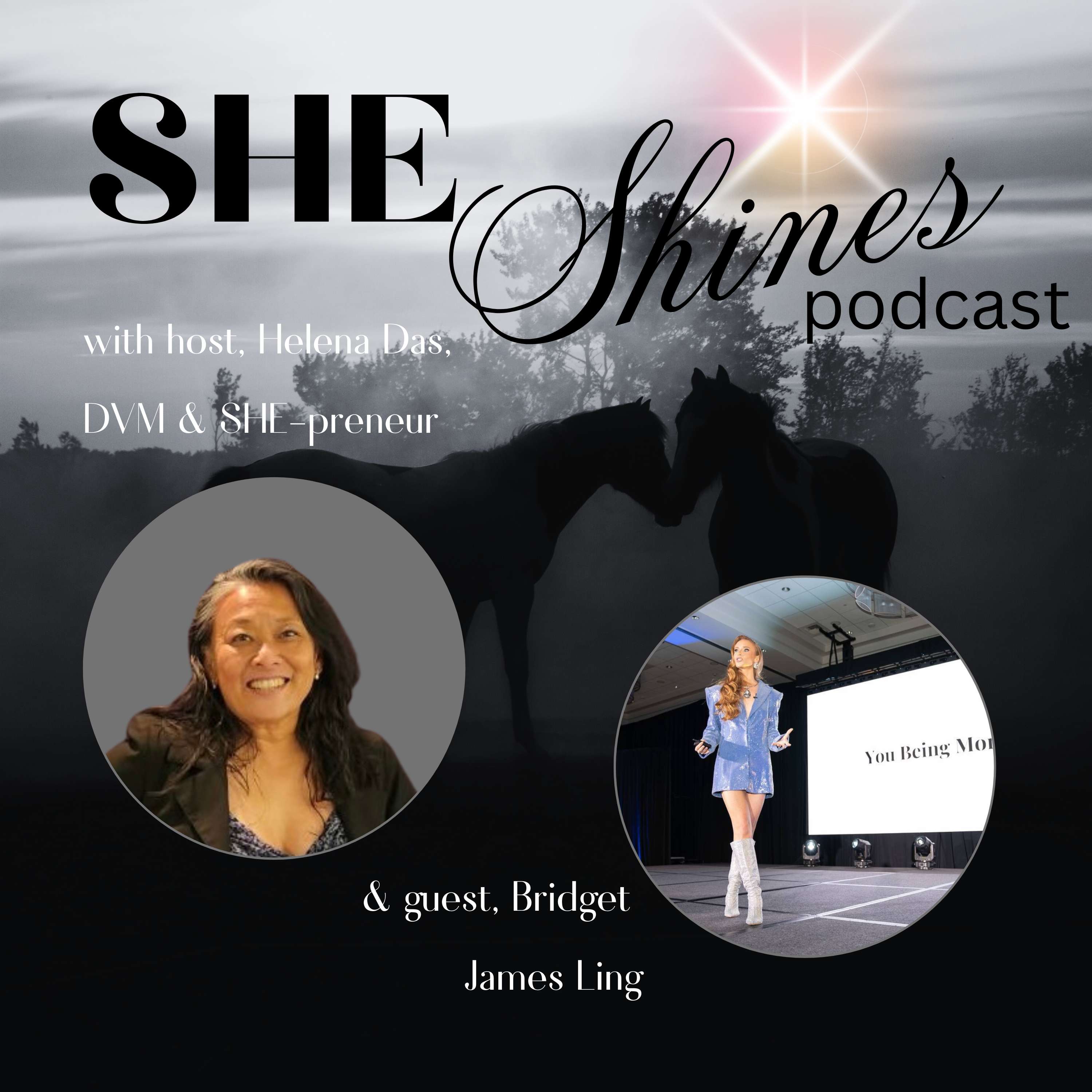 SHE Shines:  Helping \'Dark Horse-preneurs\' Unlock their Light & Get Paid to Shine