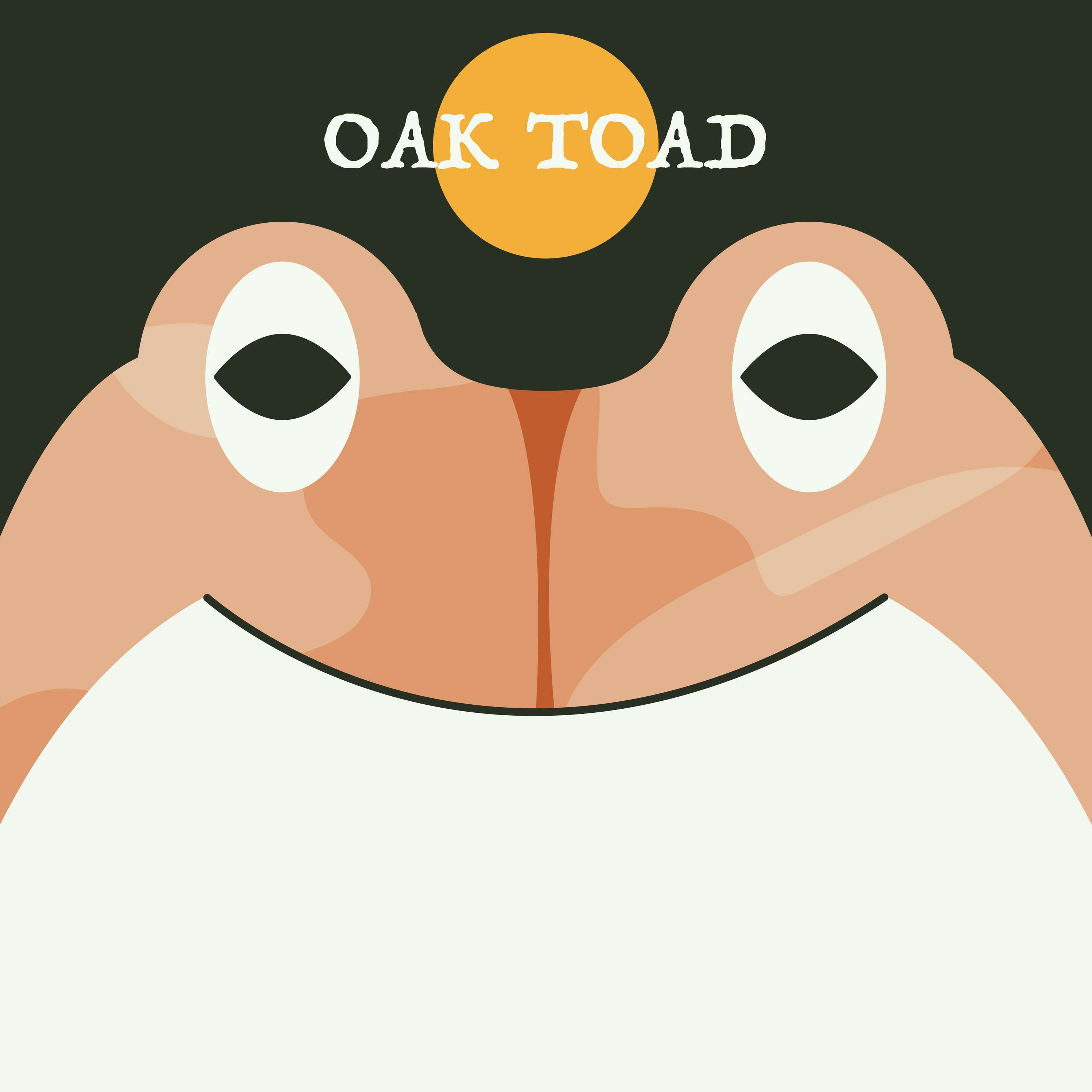 Oak Toad | Week of OcTOADber 23rd