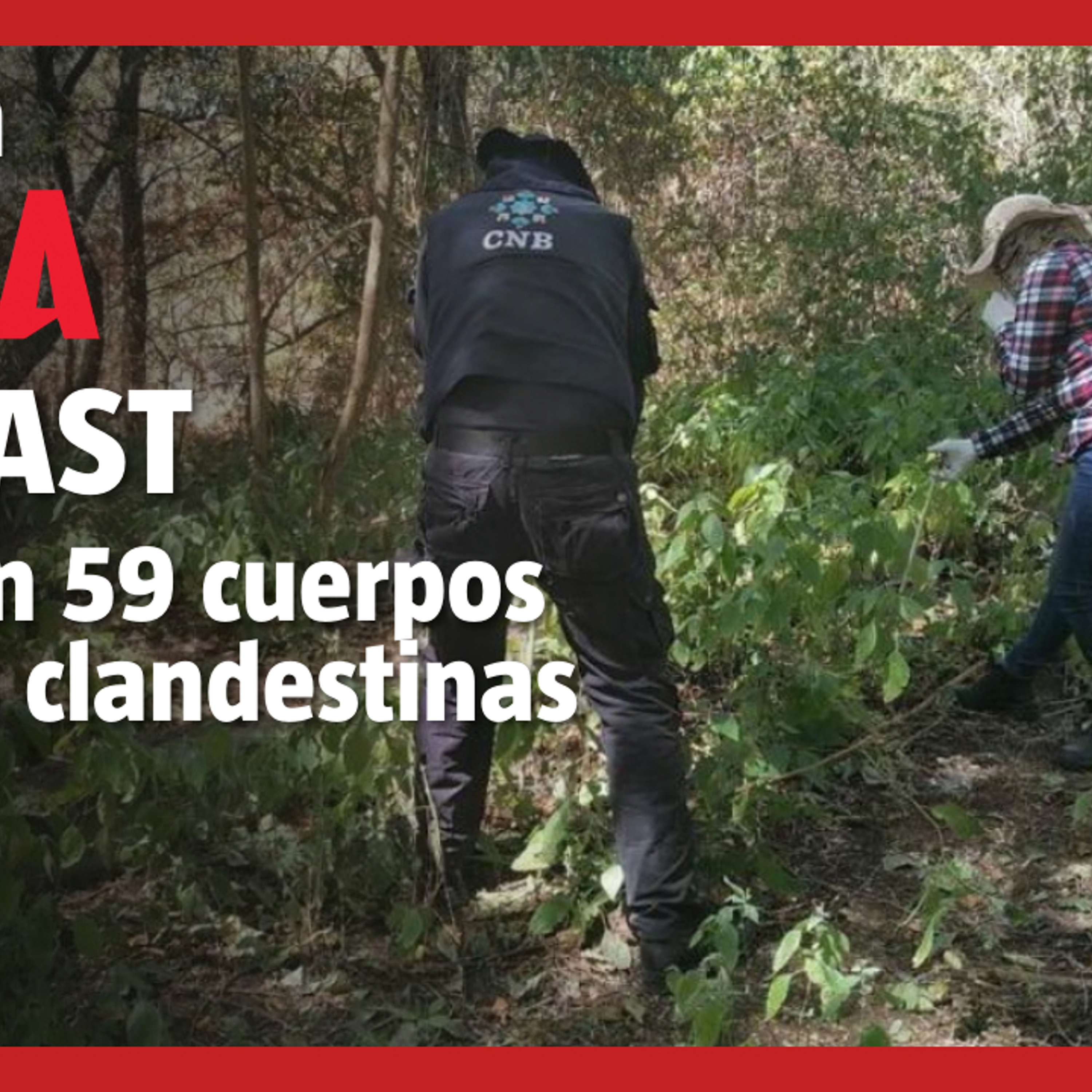 Patrulla Al Día
