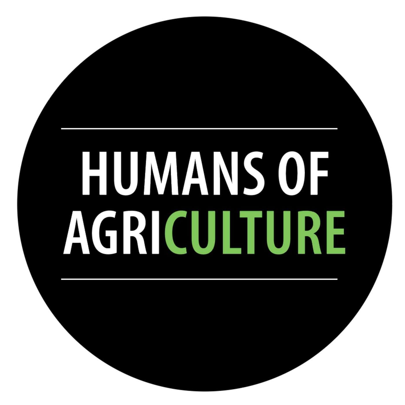 11: HoA - Mark Tanner delivers the Skinny on China