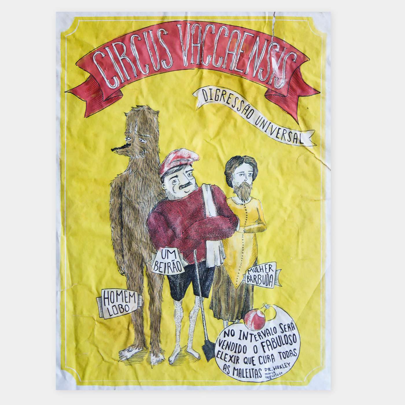 Cartaz "Digressão Universal do Circus Vaccaensis" episode artwork