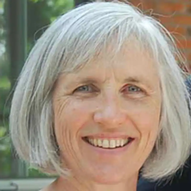DLD Advocacy and Working Memory with Lisa Archibald