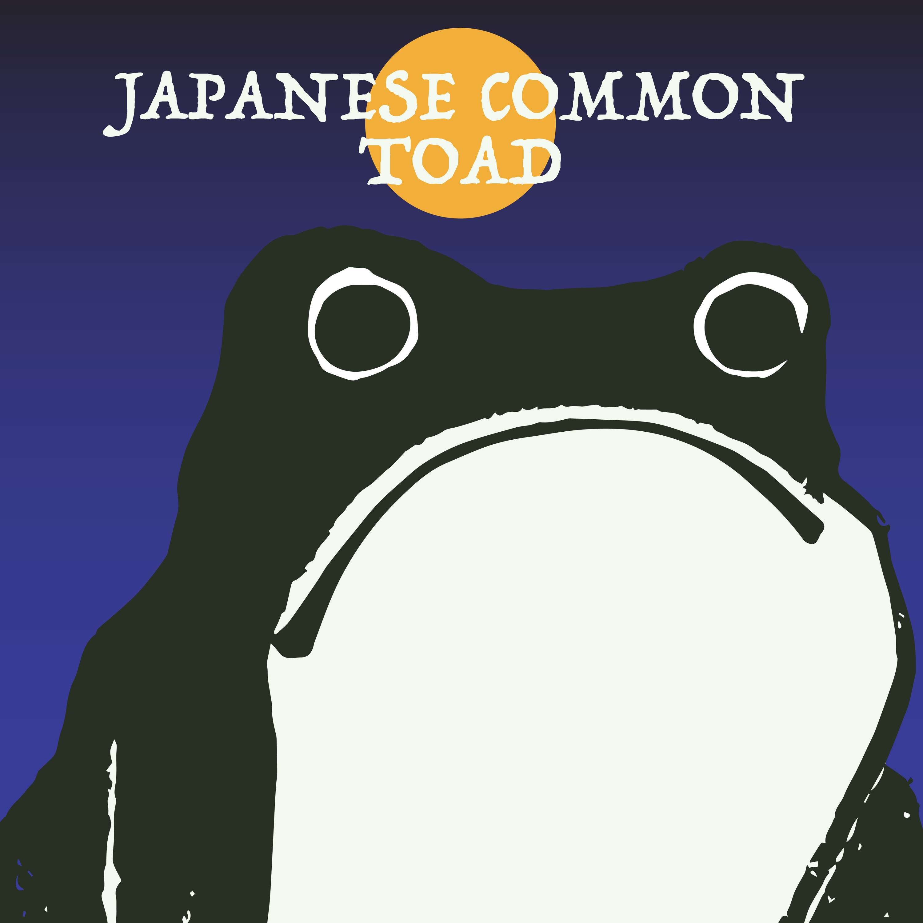 Japanese Common Toad | Week of OcTOADber 16th