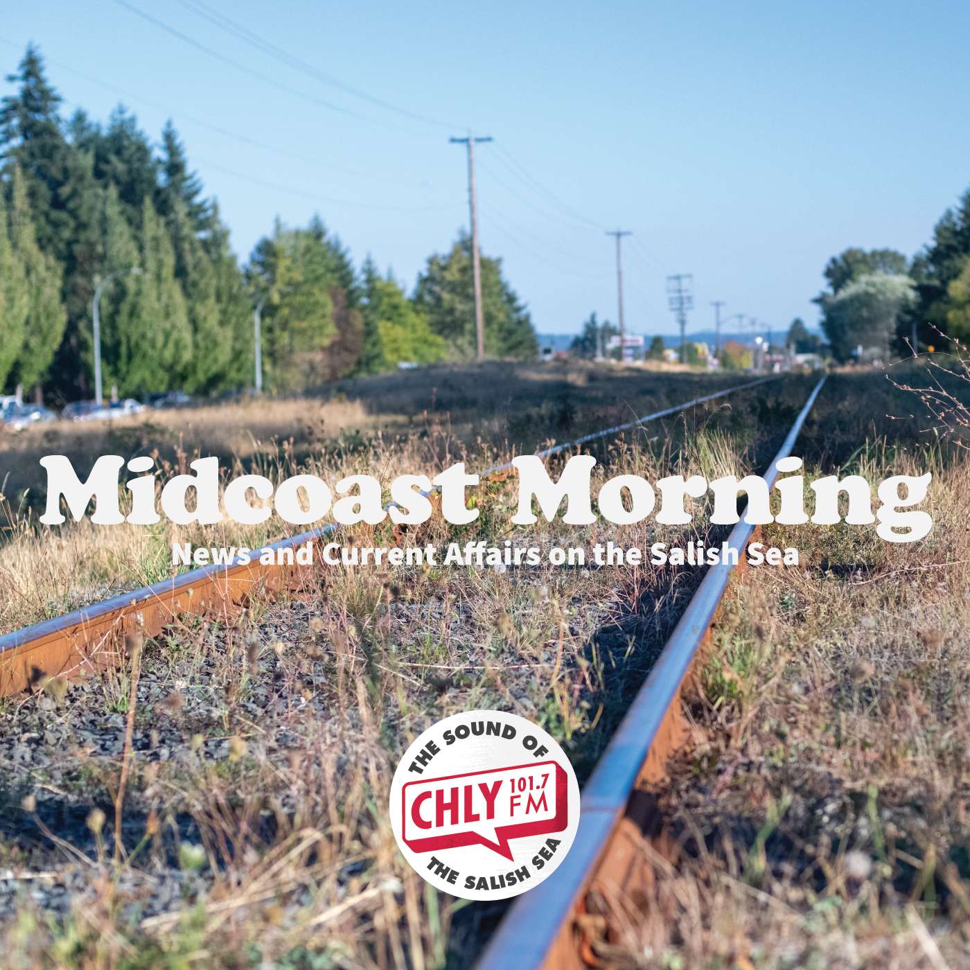 Midcoast Morning