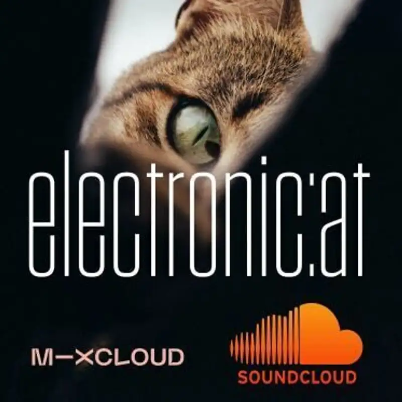 Electronic:at 008