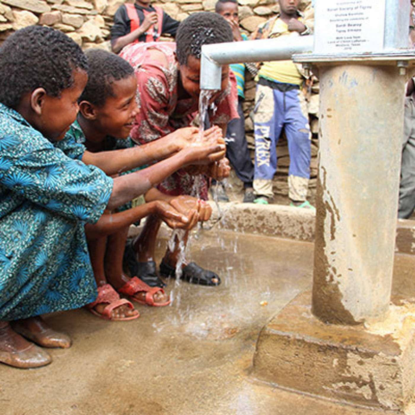 Episode 86 | Water to Thrive Episode 86 | Water to Thrive