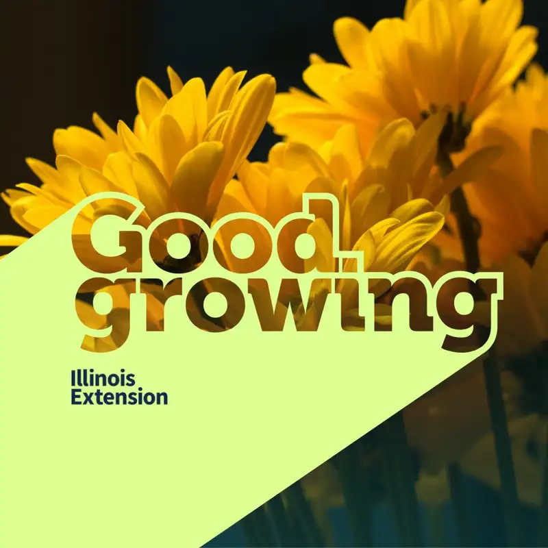 Ep. 134 Growing Cut Flowers w/ Chris Lueking | #GoodGrowing