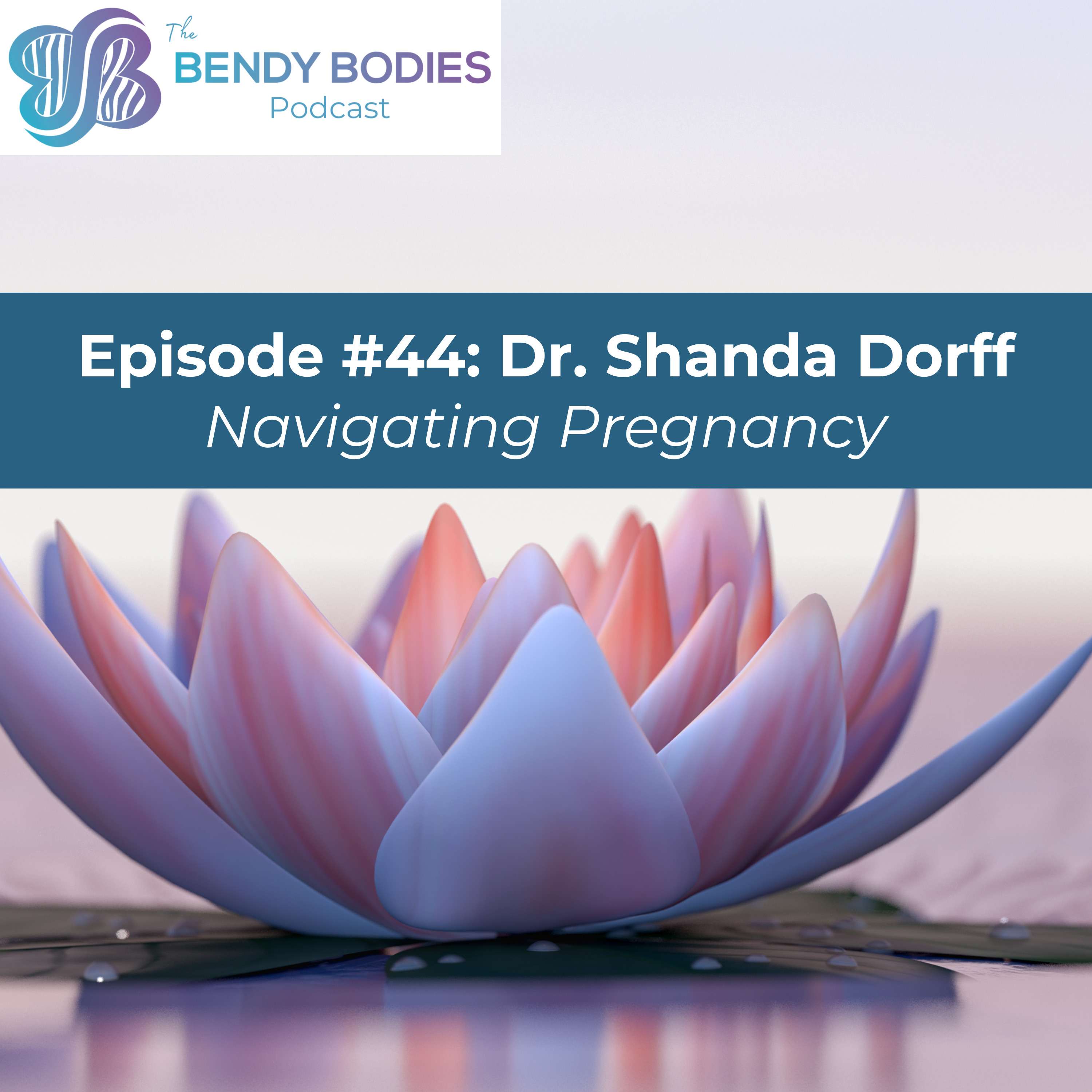 44. Navigating Pregnancy with Shanda Dorff, MD