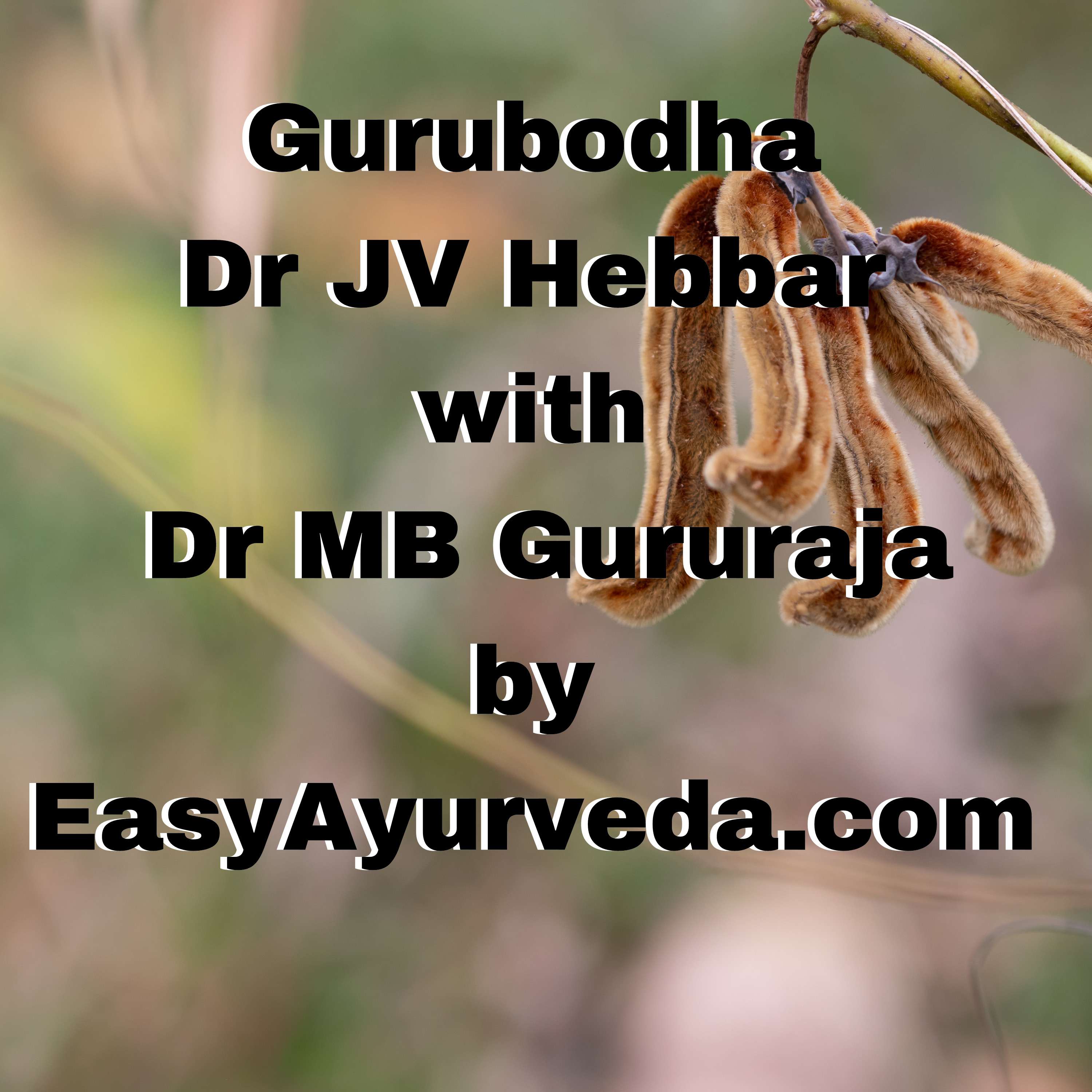 Easy Ayurveda Podcast
