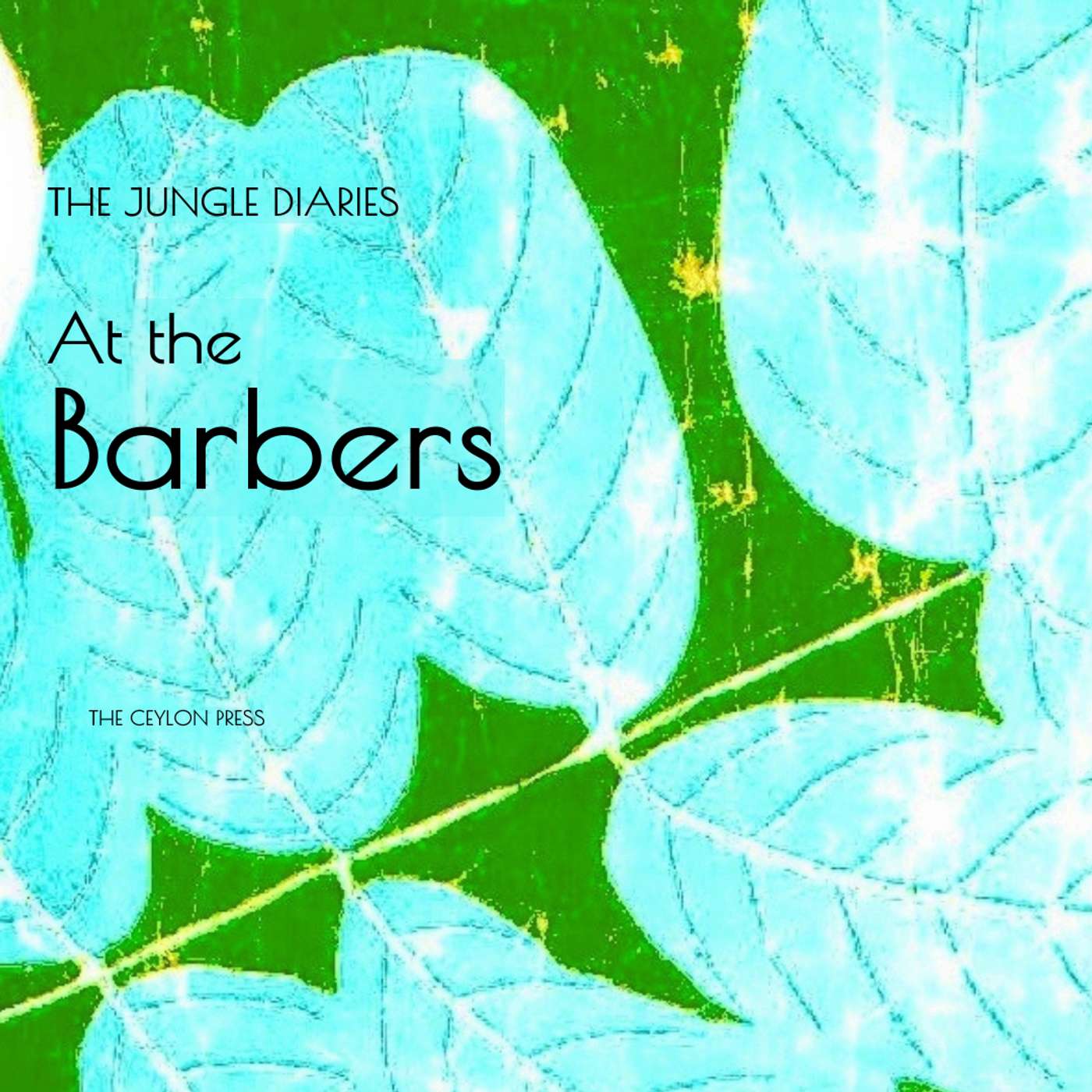 At The Barbers